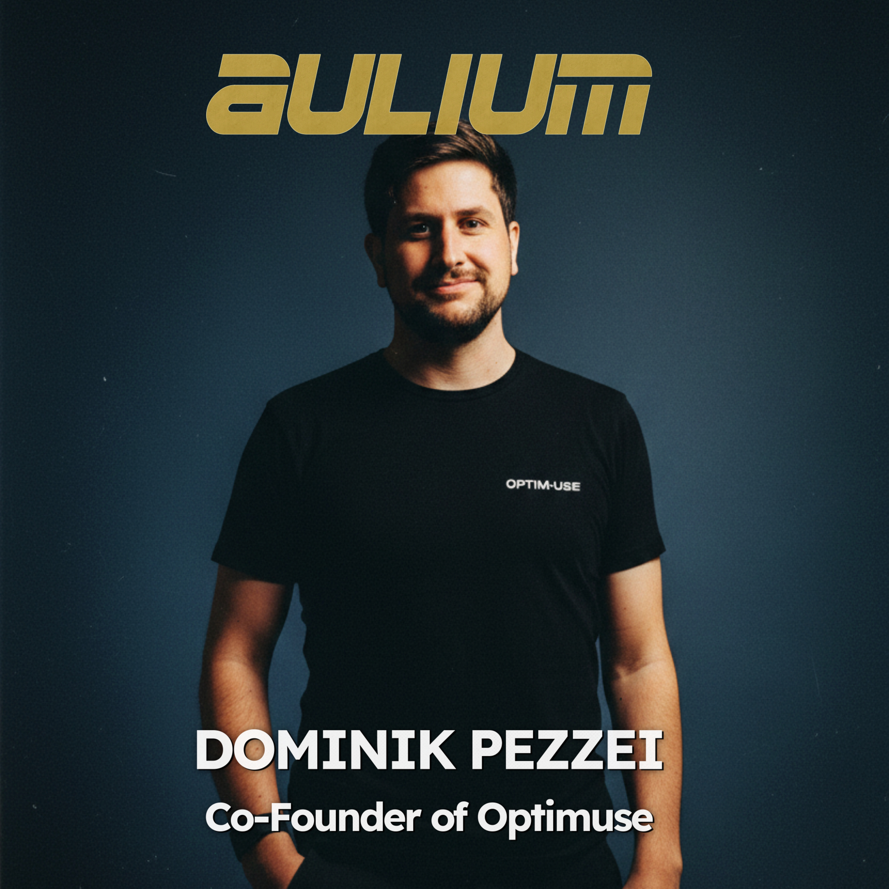 Innovation and Private Capital x aulium