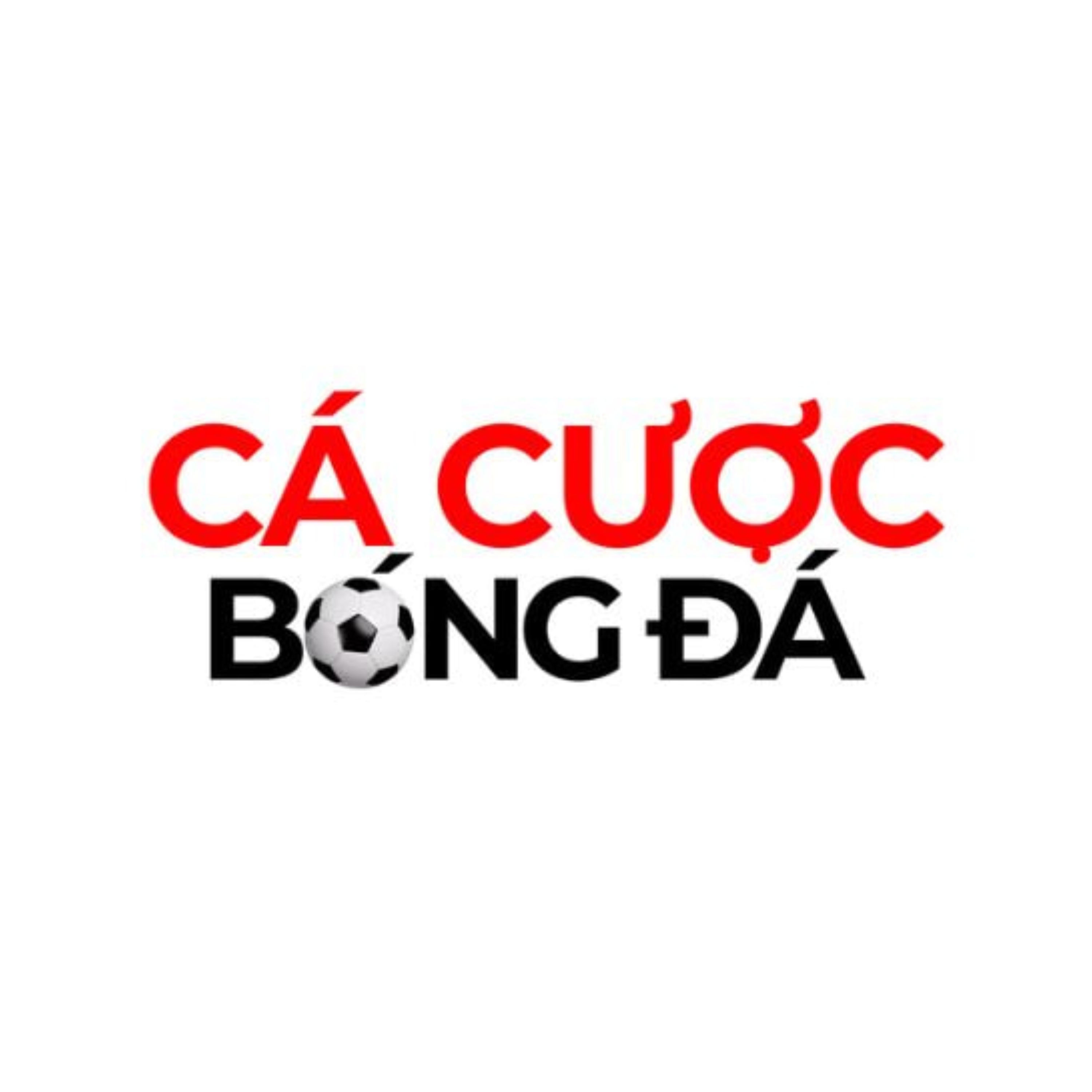 Cacuocbongda10com Trang Ca Cuoc Bong Da Soi Keo Nha Cai Chuan Nhat 2026