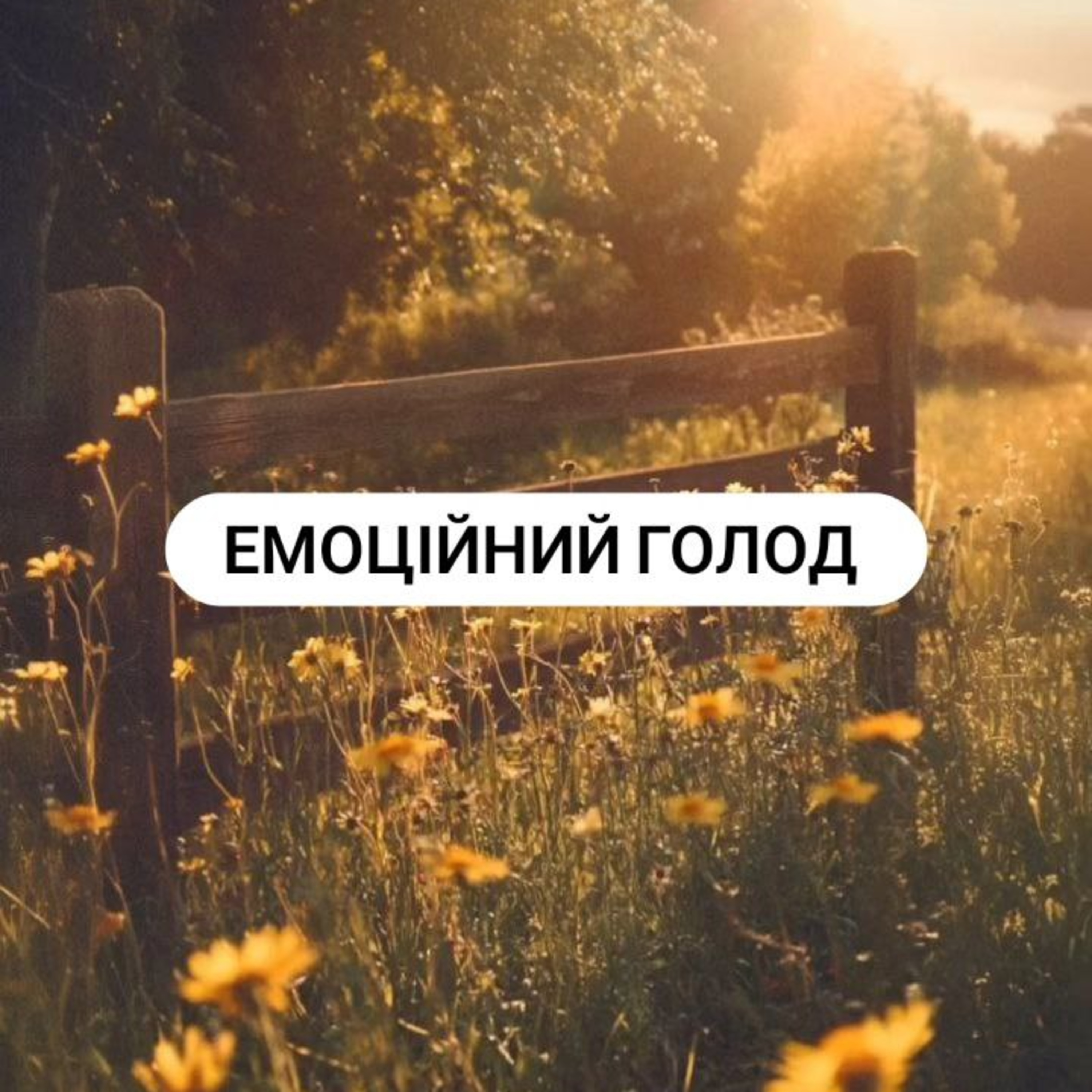 Емоційний голод episode artwork