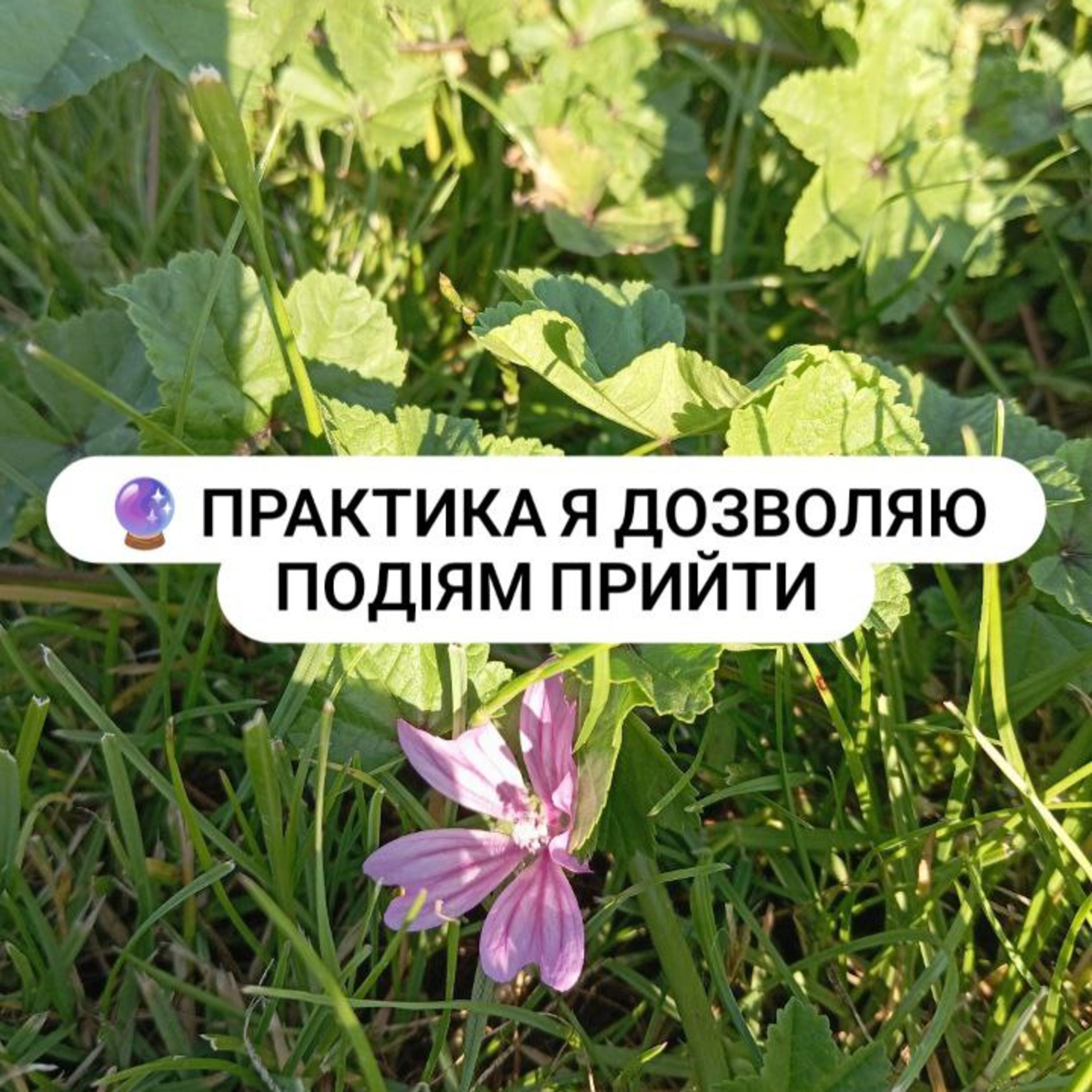 🔮 Практика Я дозволяю подіям прийти episode artwork