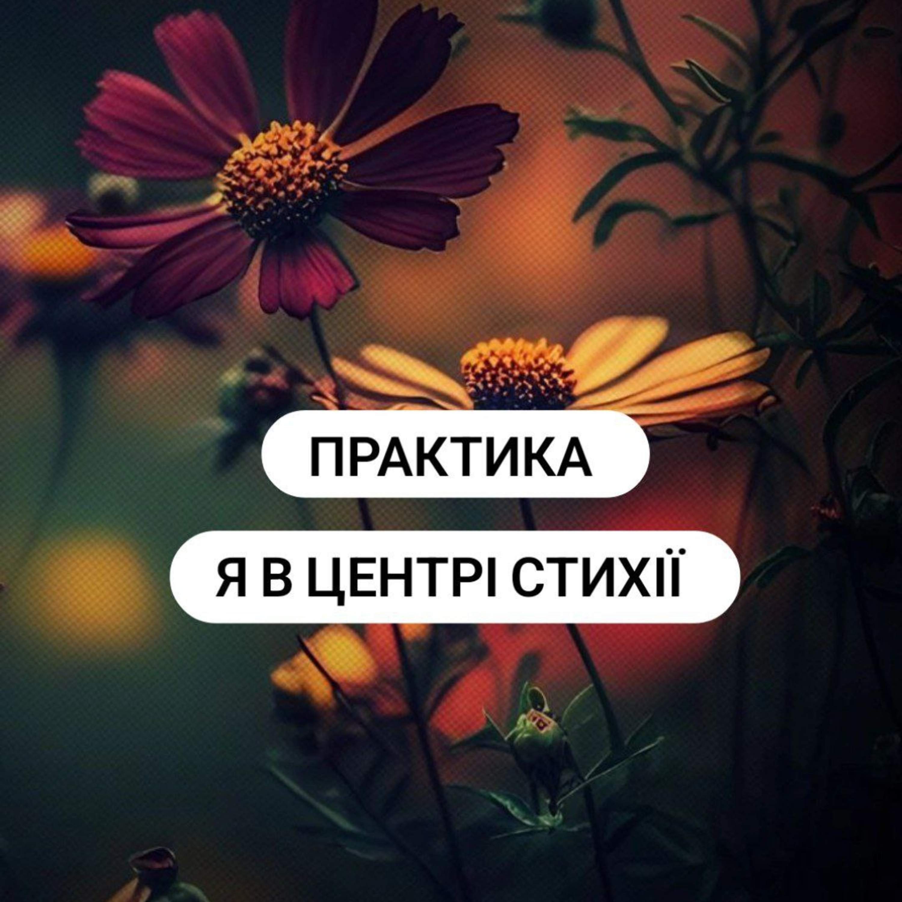 практика -я в центрі стихії  episode artwork