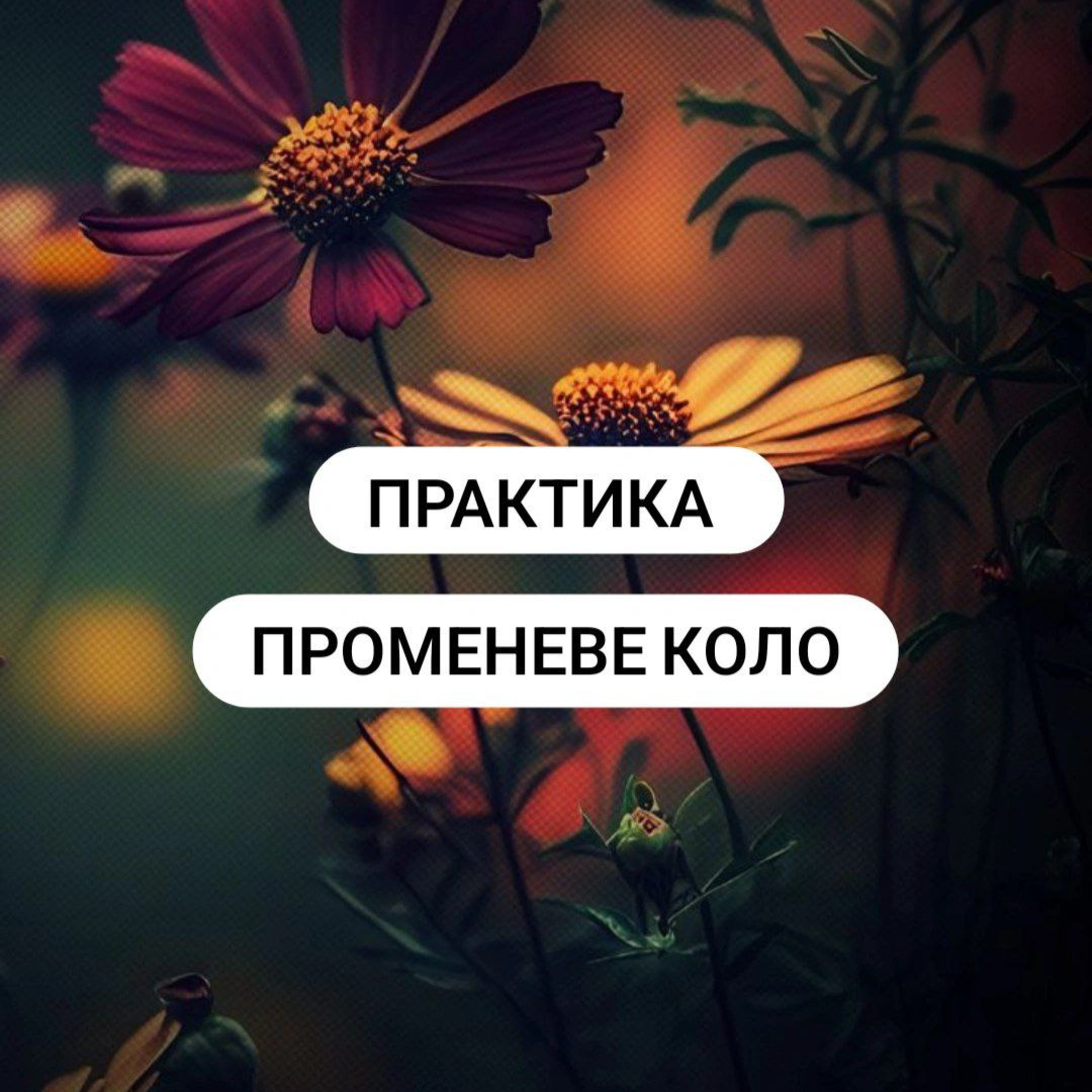 психо практика -променеве коло  episode artwork