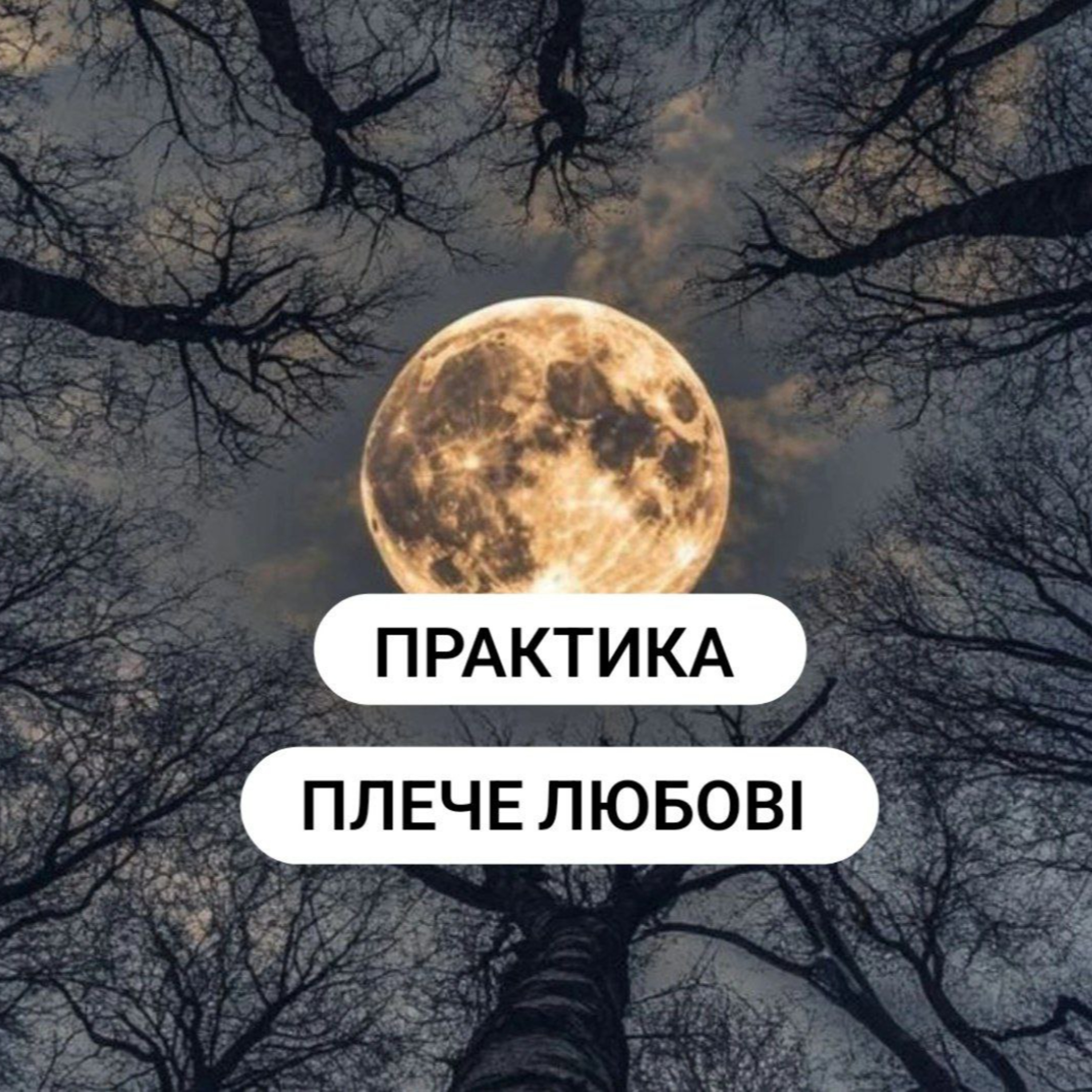 психо емоційна практика - плече любові  episode artwork