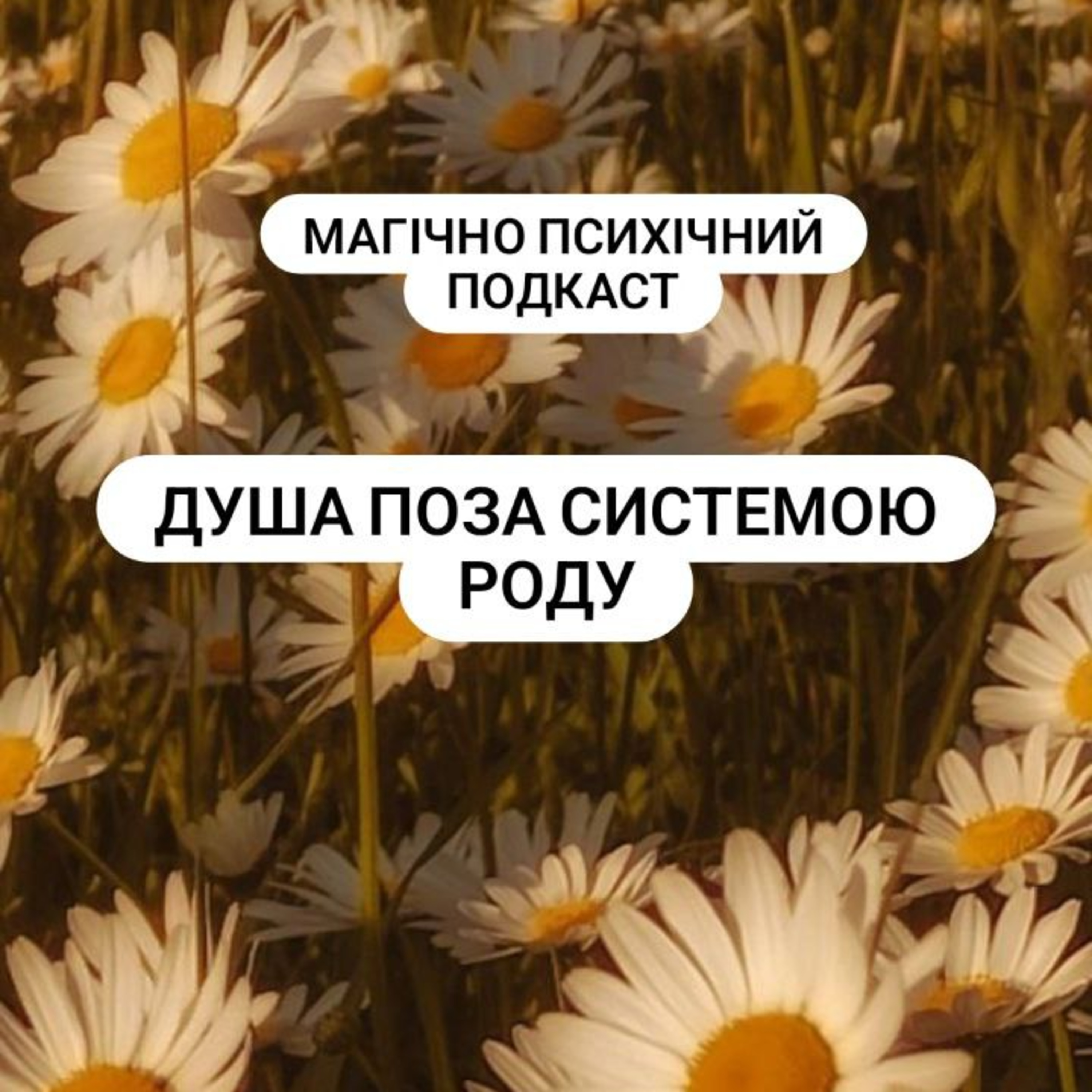 Чому душа приходить поза системою? episode artwork