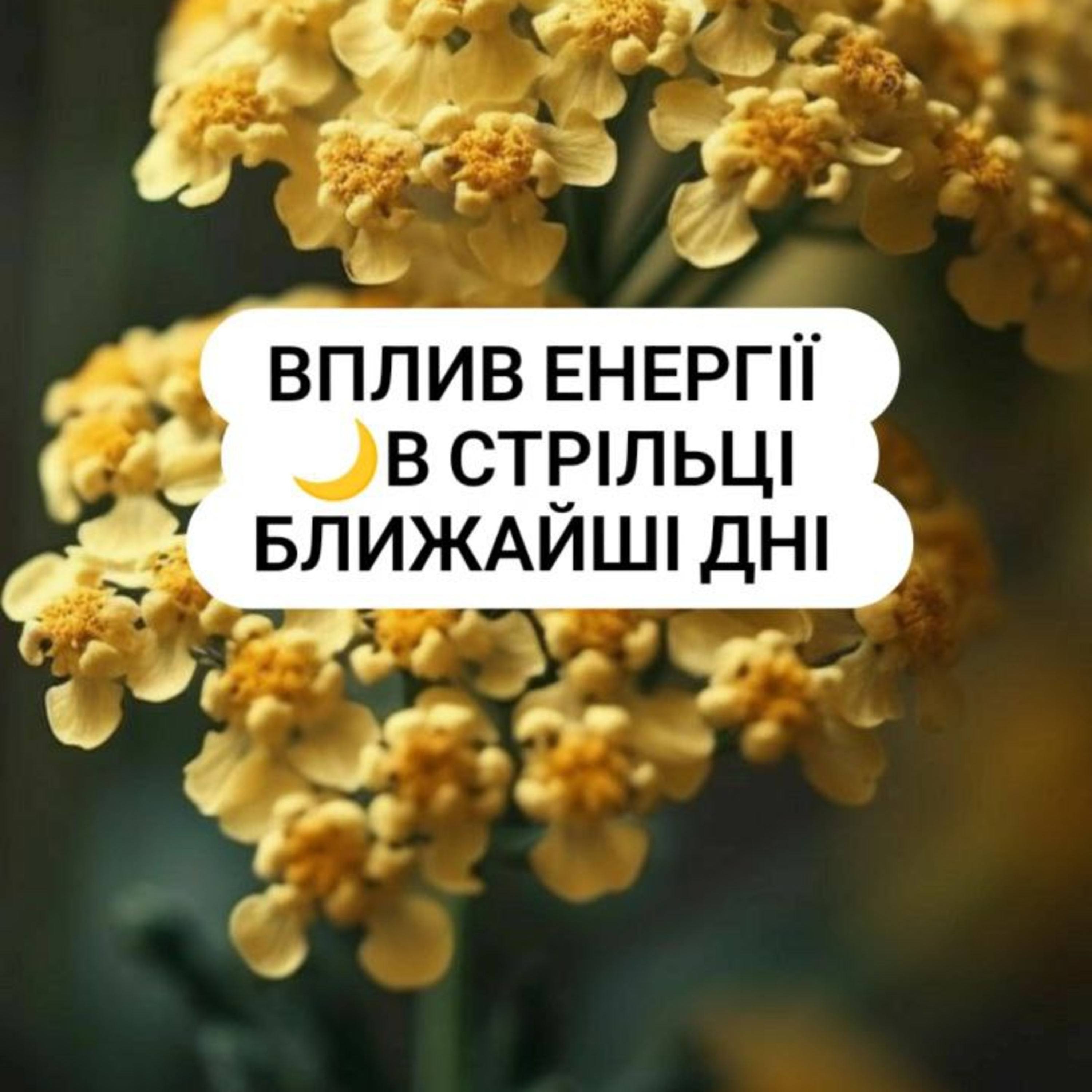 Вплив енергії Місяця в знаці Стрілець на події episode artwork