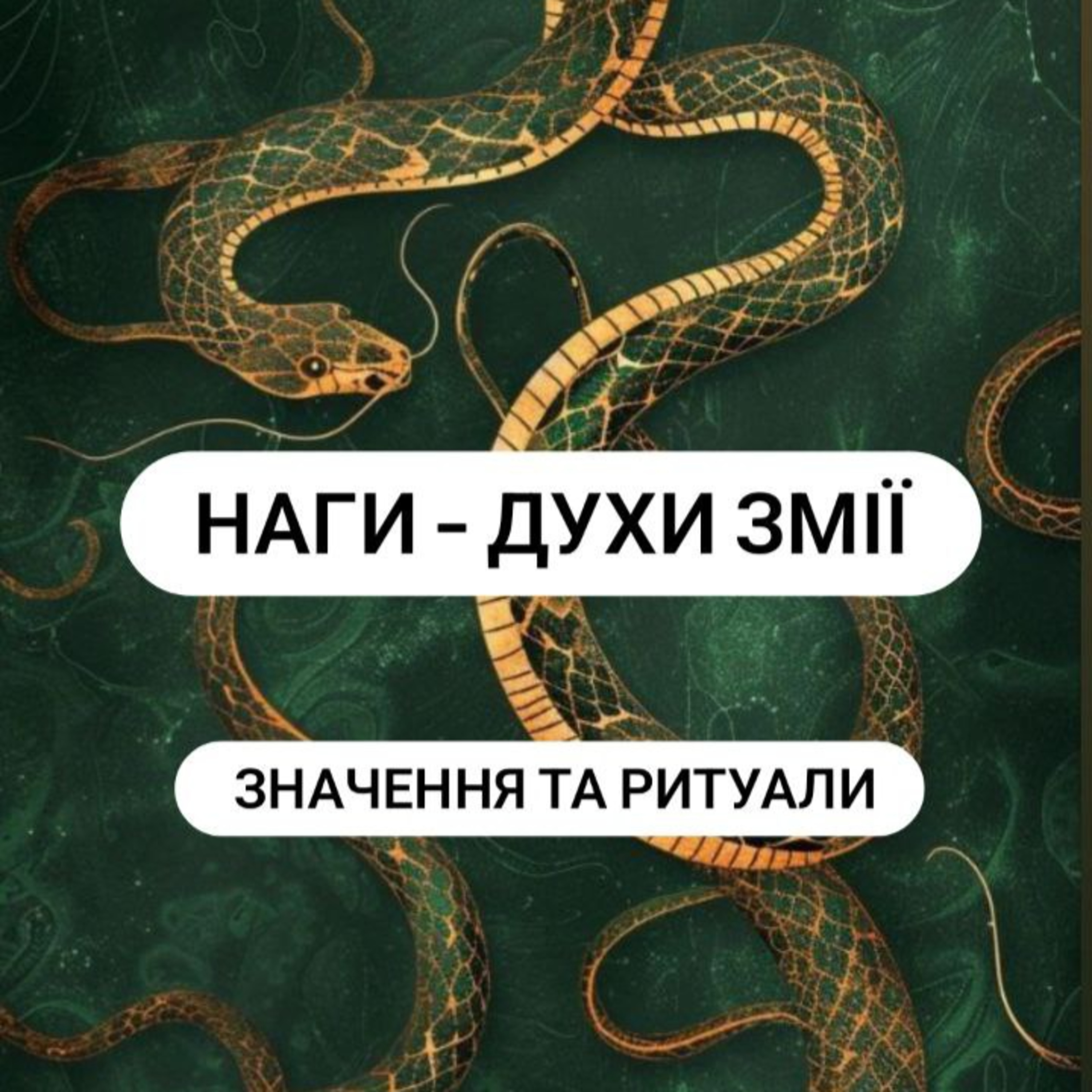 Наги - духи змії в магії episode artwork