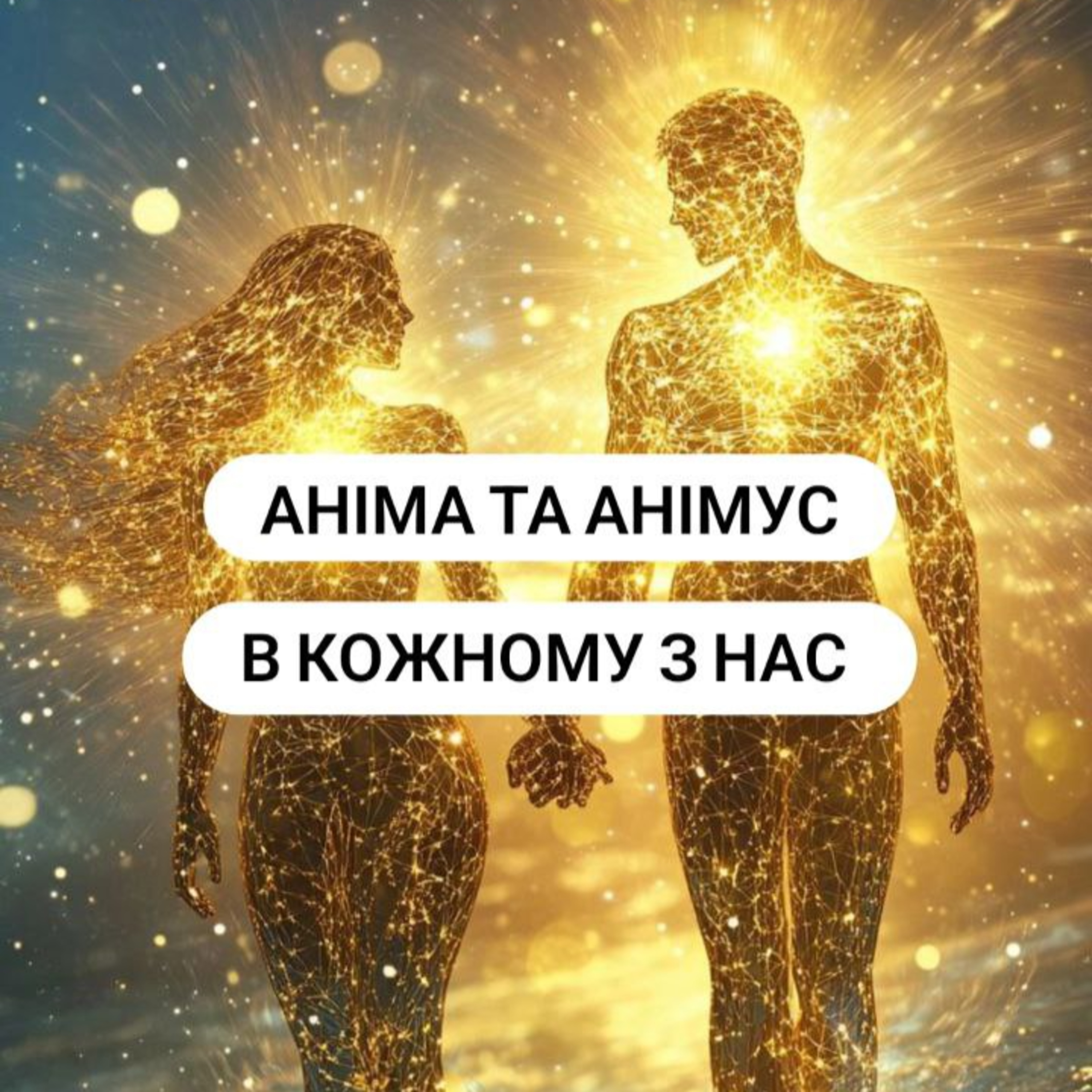 Аніма та Анімус в нас. episode artwork