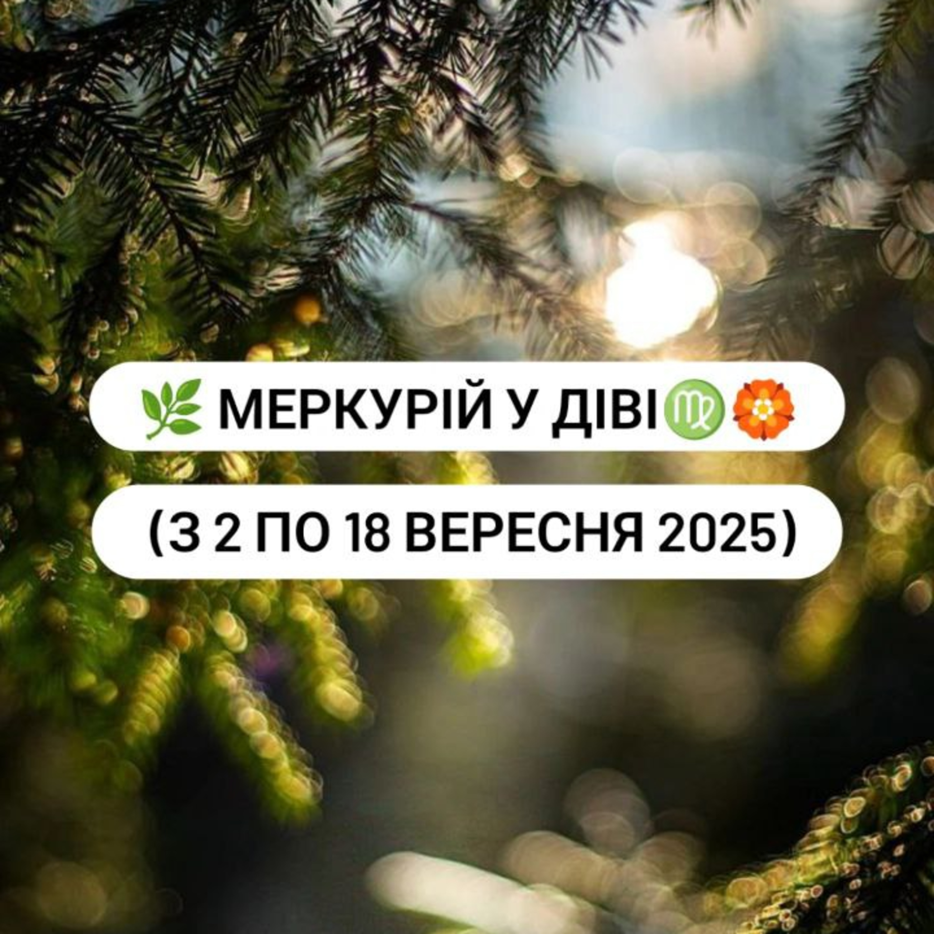 Транзит Меркурія по знаку Діва episode artwork