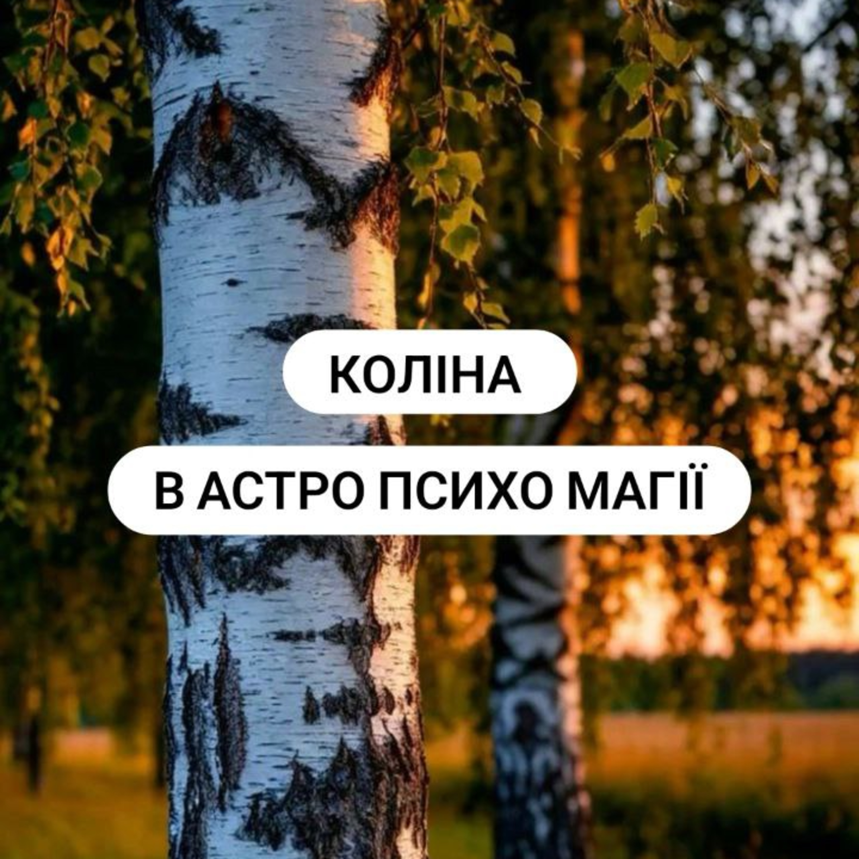 коліна і енергія episode artwork
