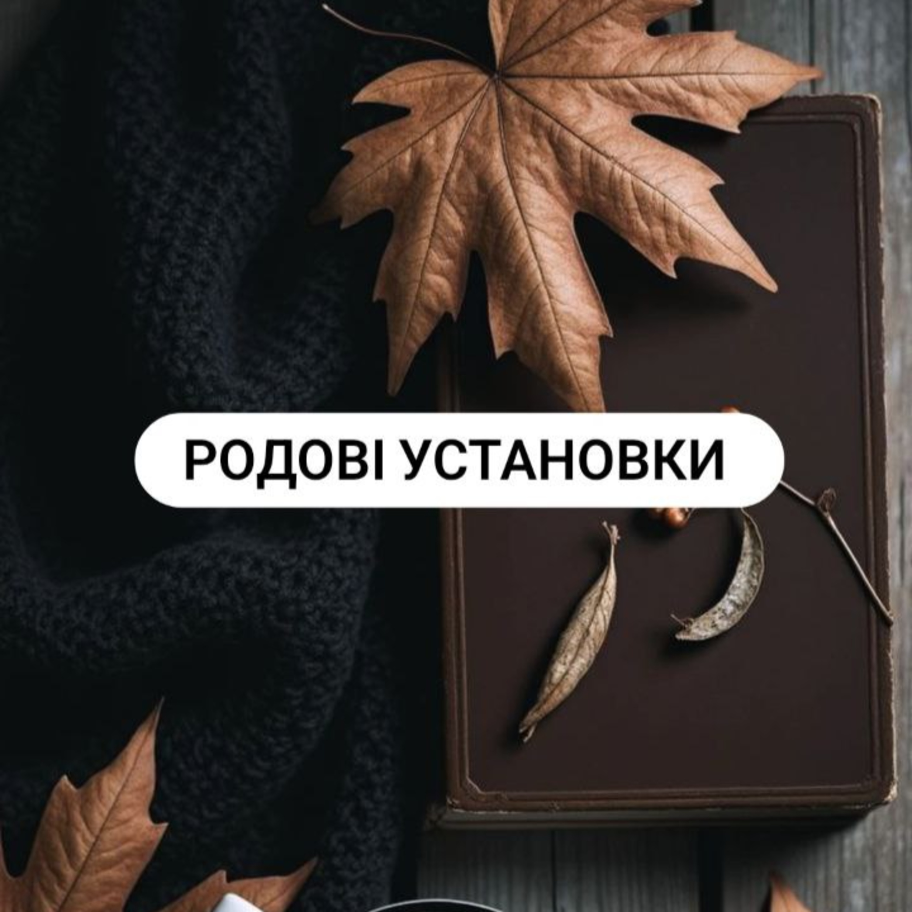 Родові Установки episode artwork