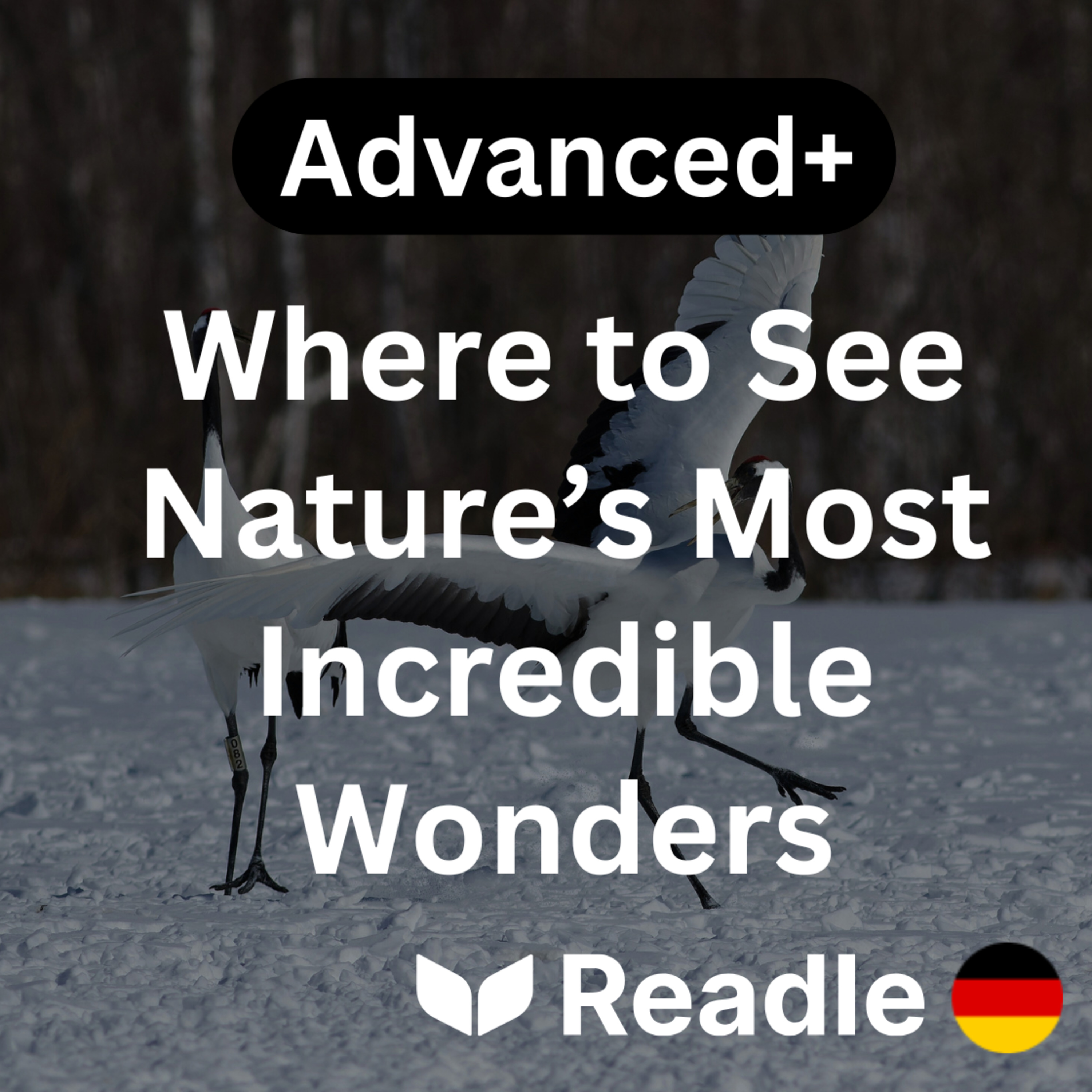 Learn German EP 35 - Where to See Nature’s Most Incredible Wonders (Advanced+)