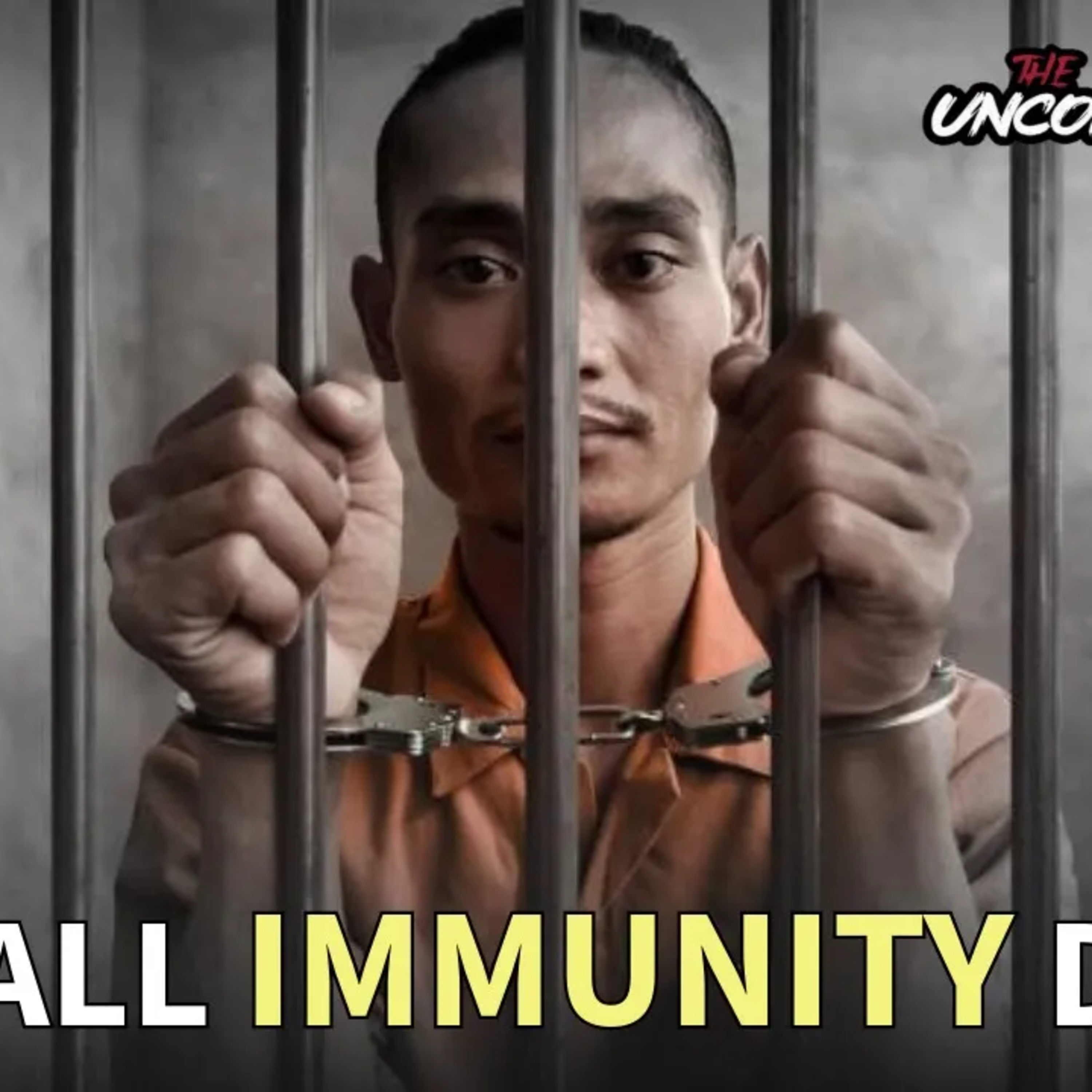 Should Criminals Be Granted Immunity for Testifying/Snitching? | Justice vs. Deals 🧑‍⚖️🔍 episode artwork
