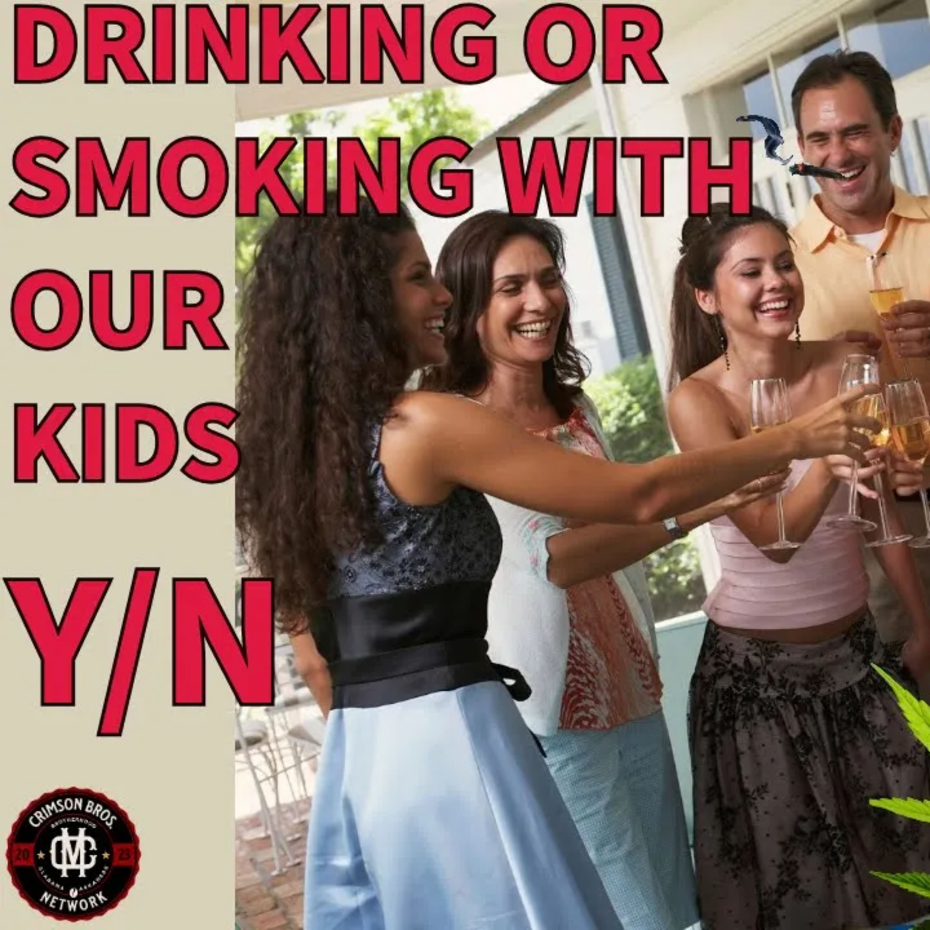 Would you introduce drinking/smoking to your teen? episode artwork