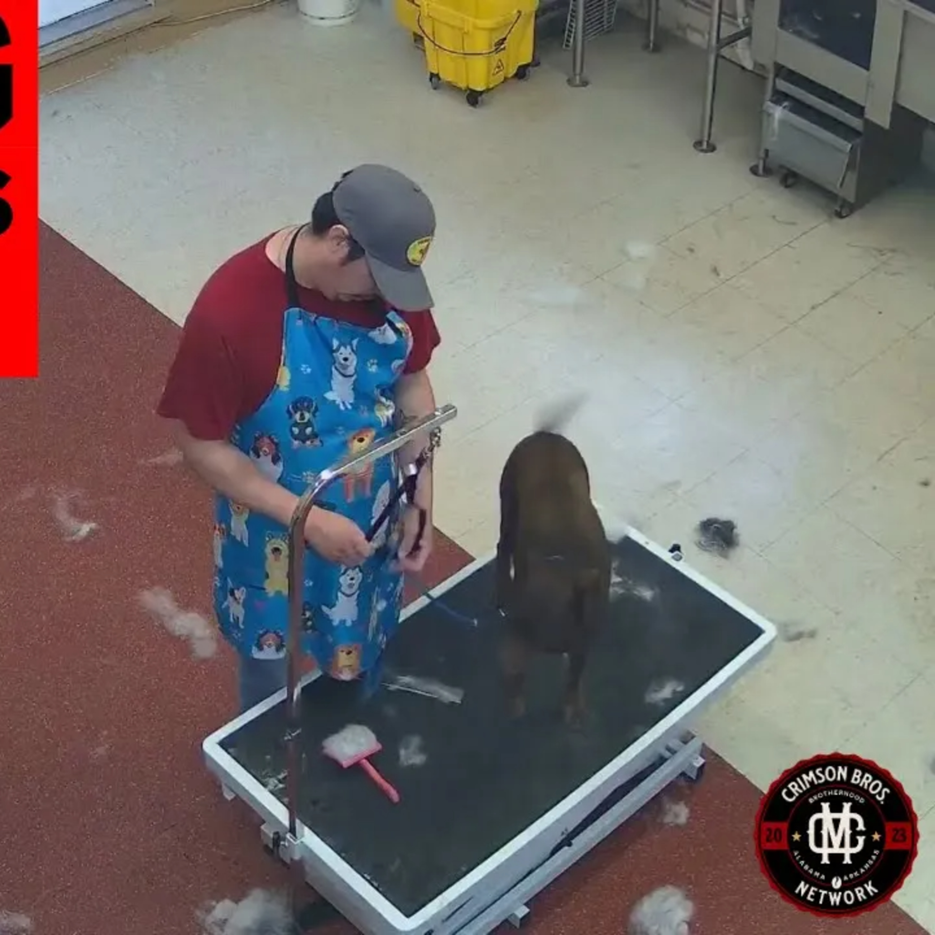 Caught on Camera: Groomer Brutally Mistreats Dogs — What They Don’t Want You to See episode artwork