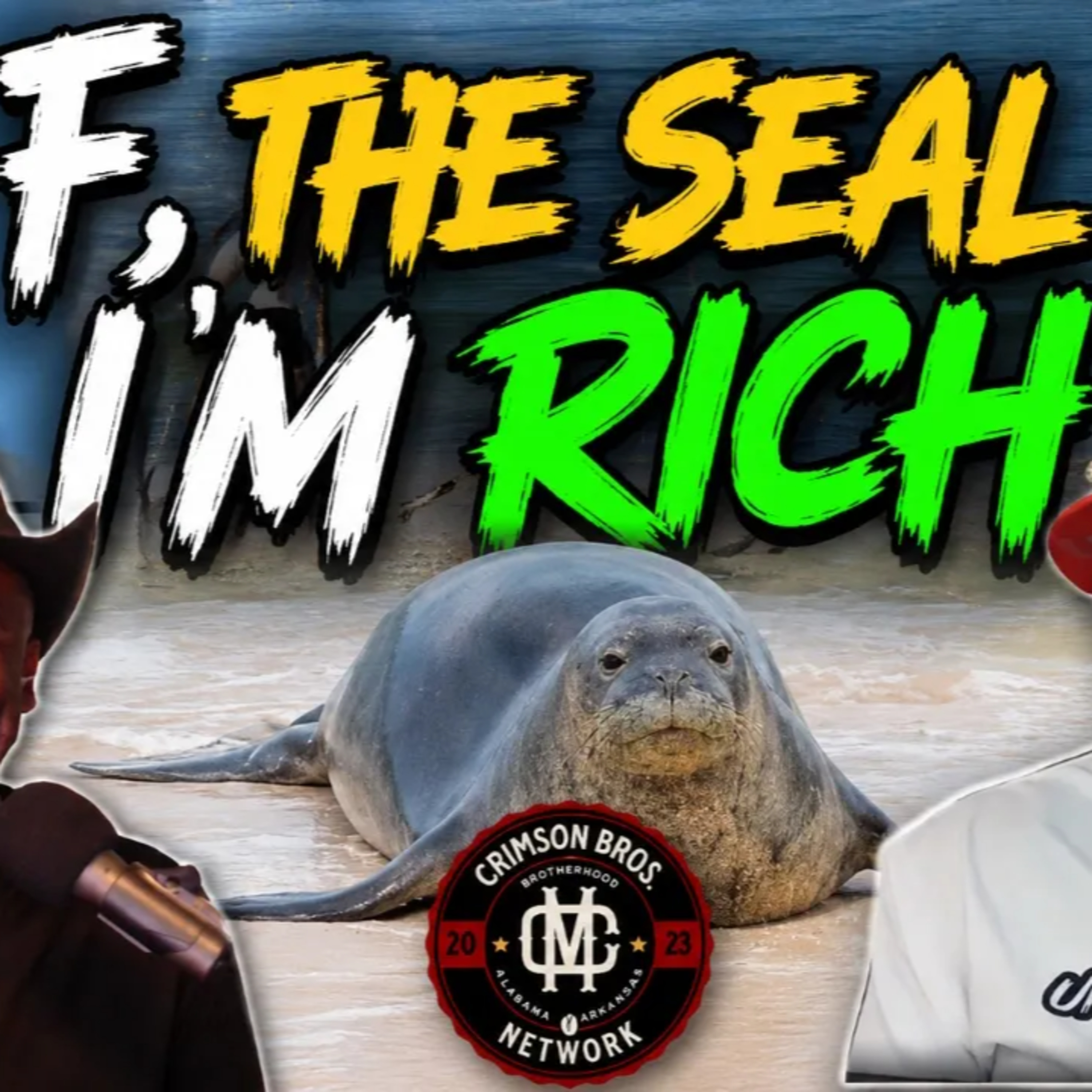 Man throws rock at seal episode artwork