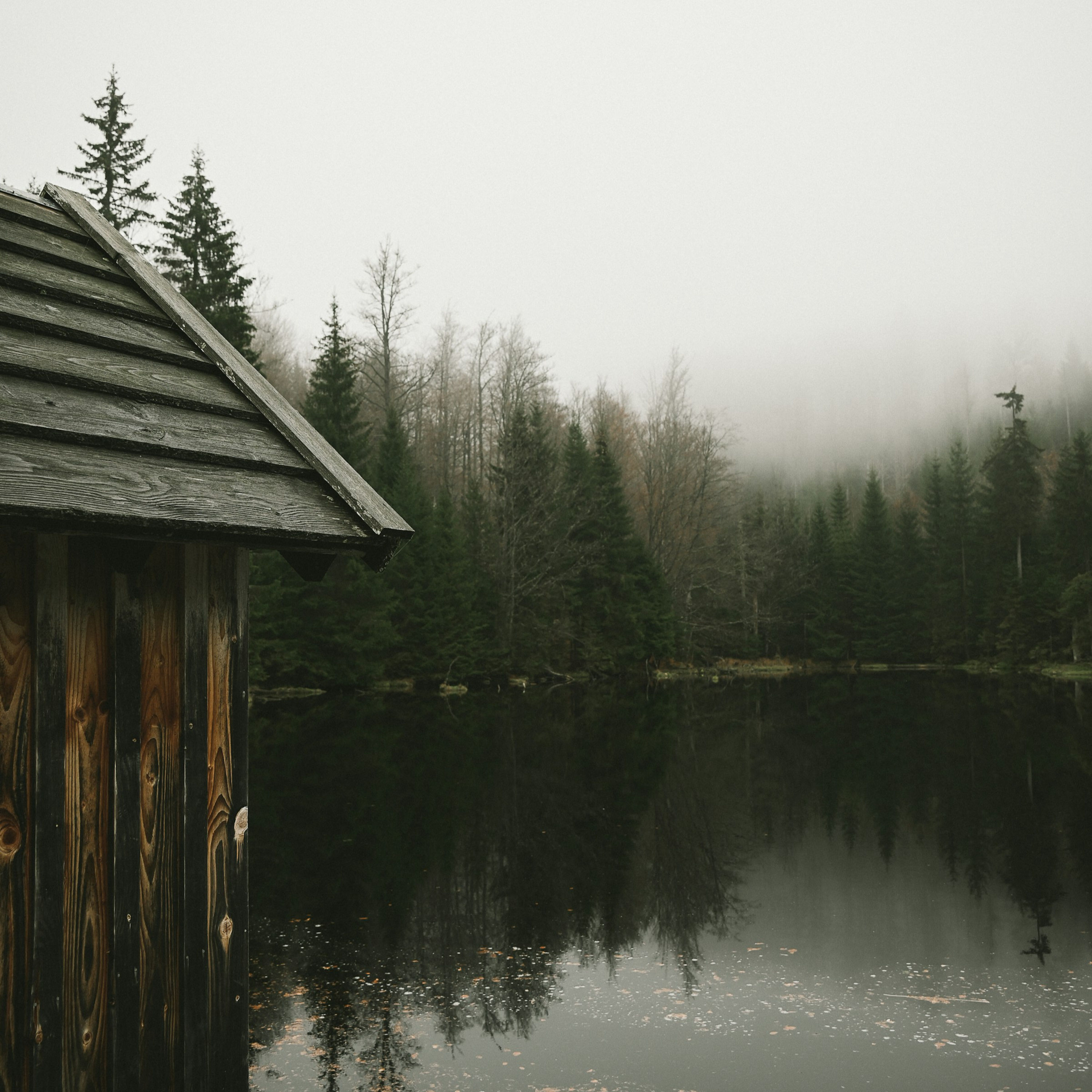 8 Hours of Pure Rain Sounds 🌧️ | Cozy Cabin Rain for Deep Sleep