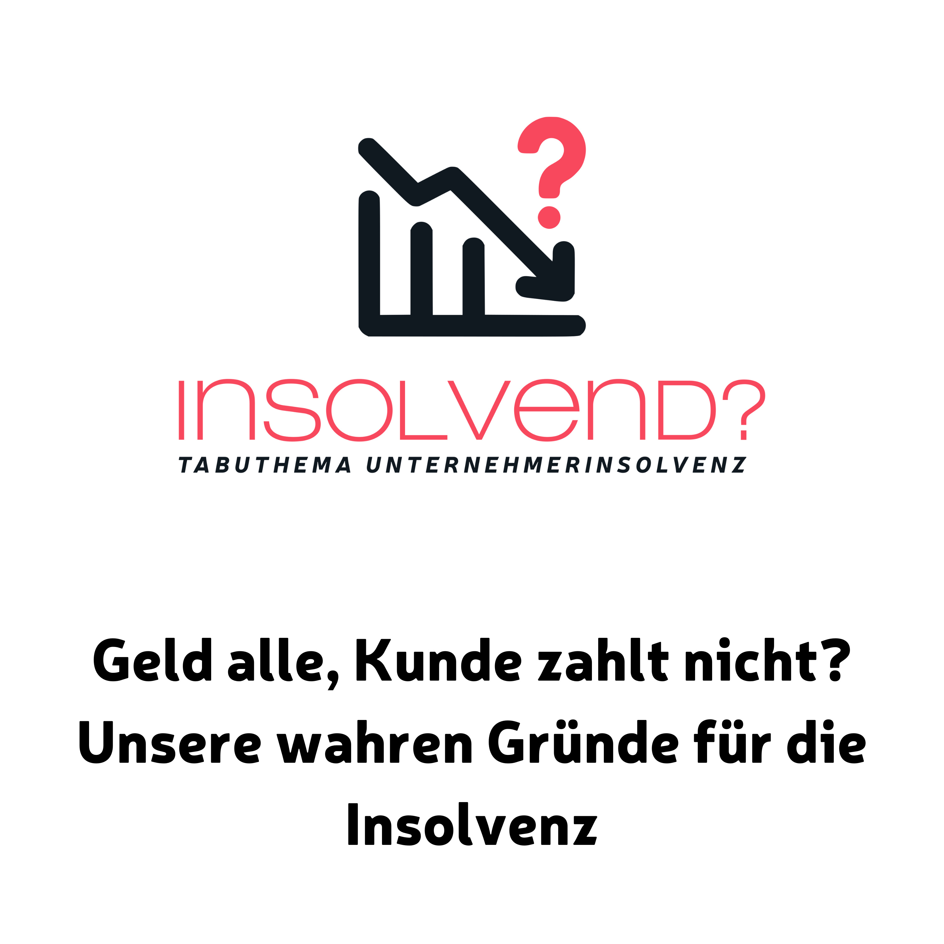 Geld alle, Kunde zahlt nicht? Unsere wahren Gründe für die Insolvenz episode artwork