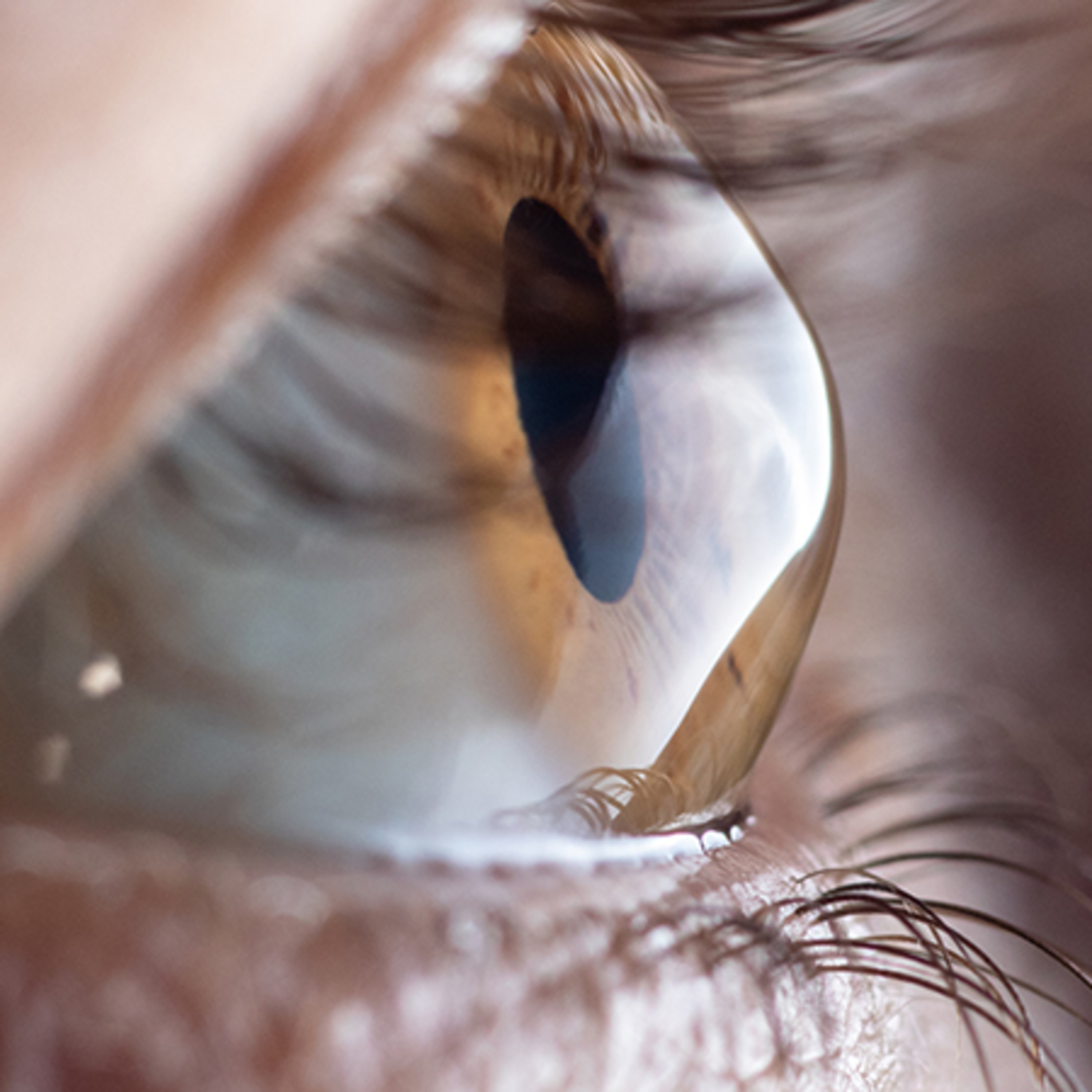 Retina e Oftalmo Podcast