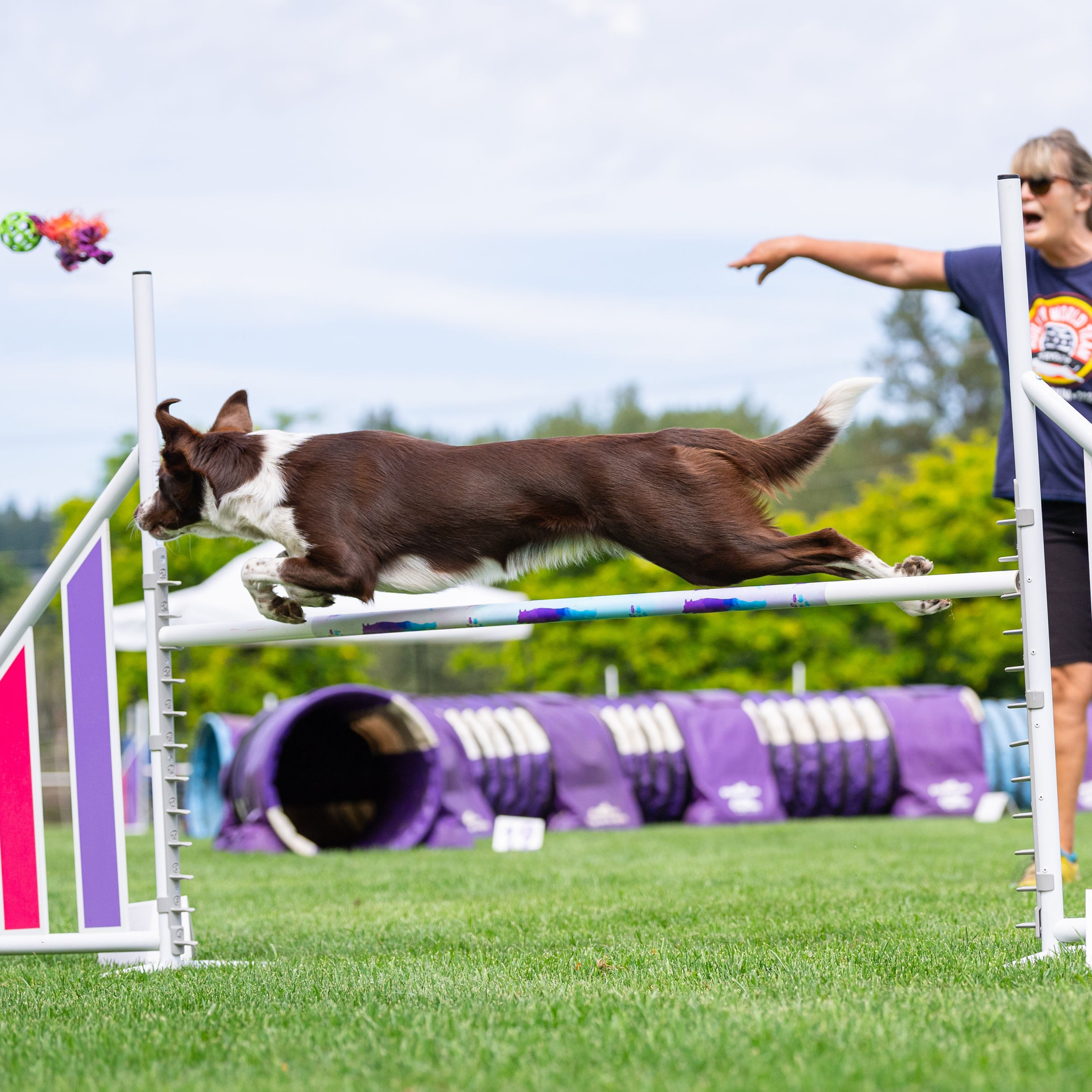 28 Wasted Training Opportunities in Boosting Agility Skills