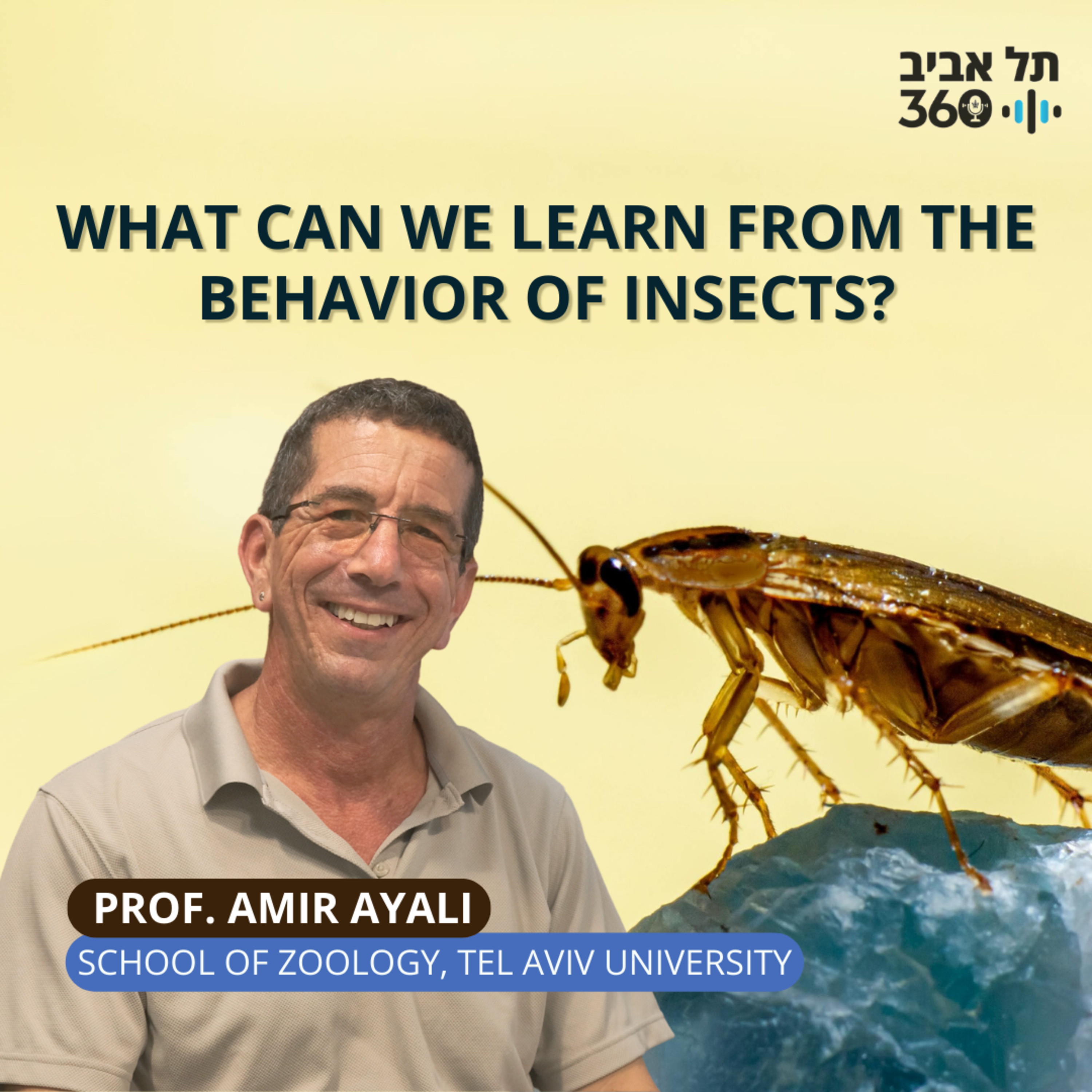 What Can We Learn From the Behavior of Insects?