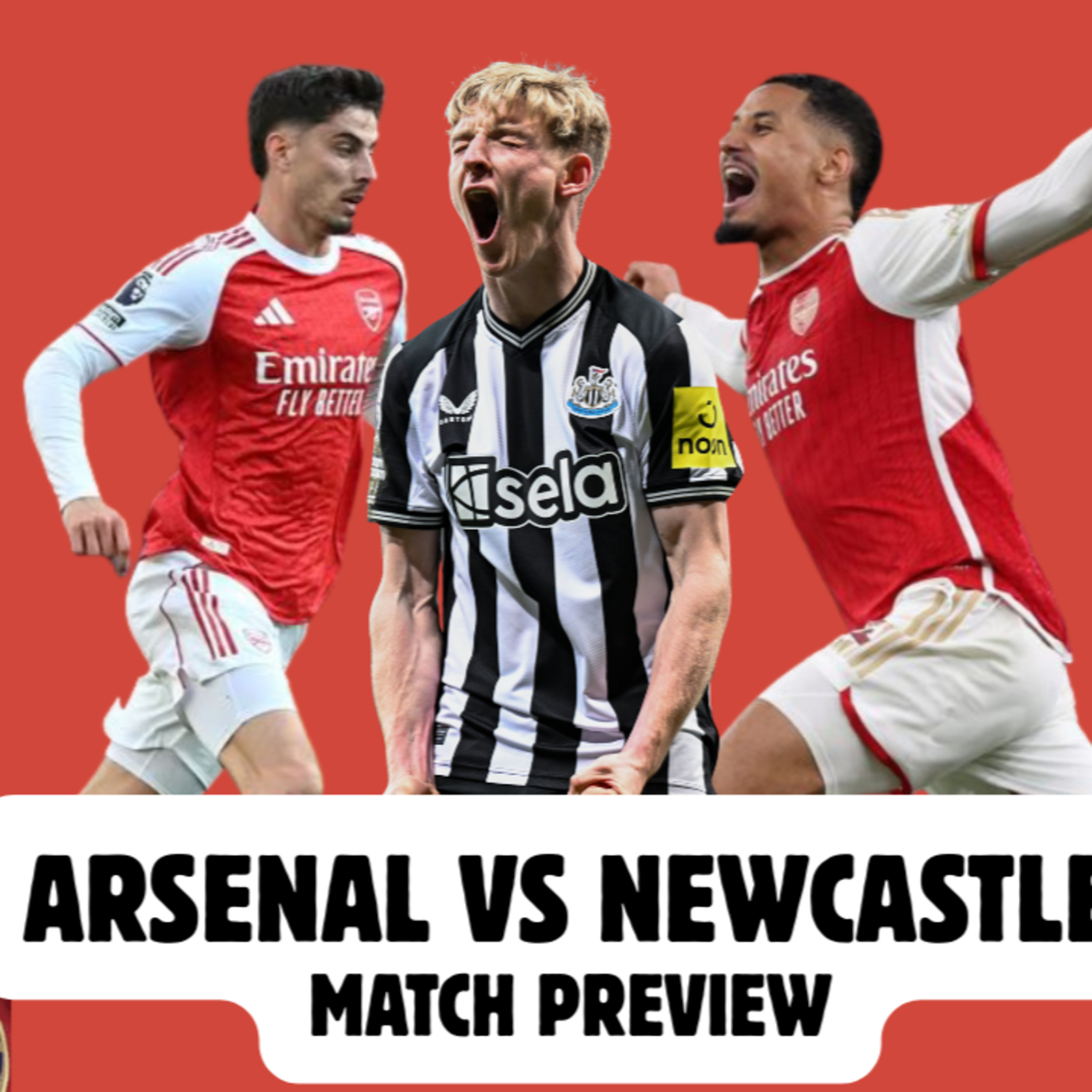 Newcastle Match Preview