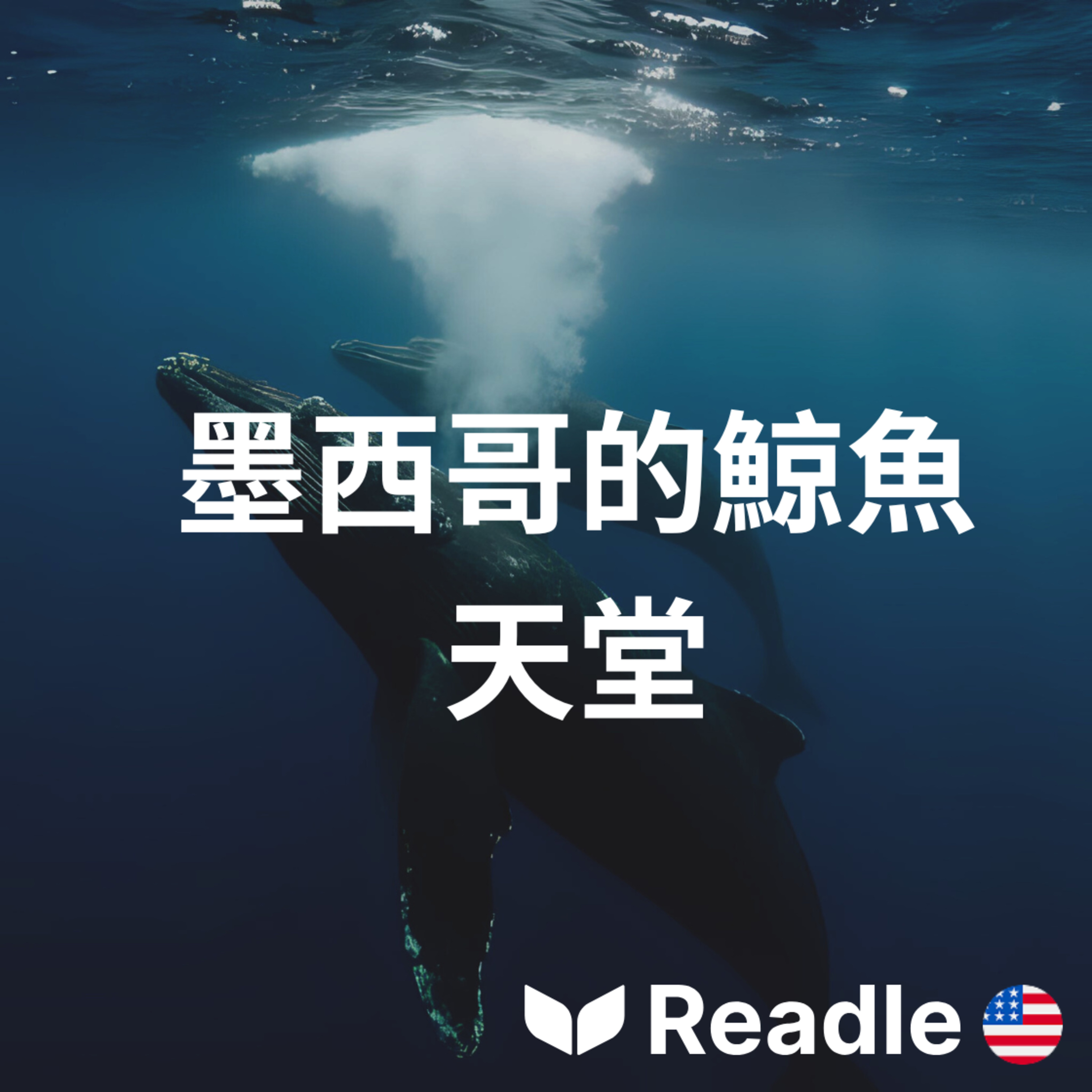 學英文 EP40｜鯨魚的溫柔避風港｜Whale Haven in Mexico episode artwork