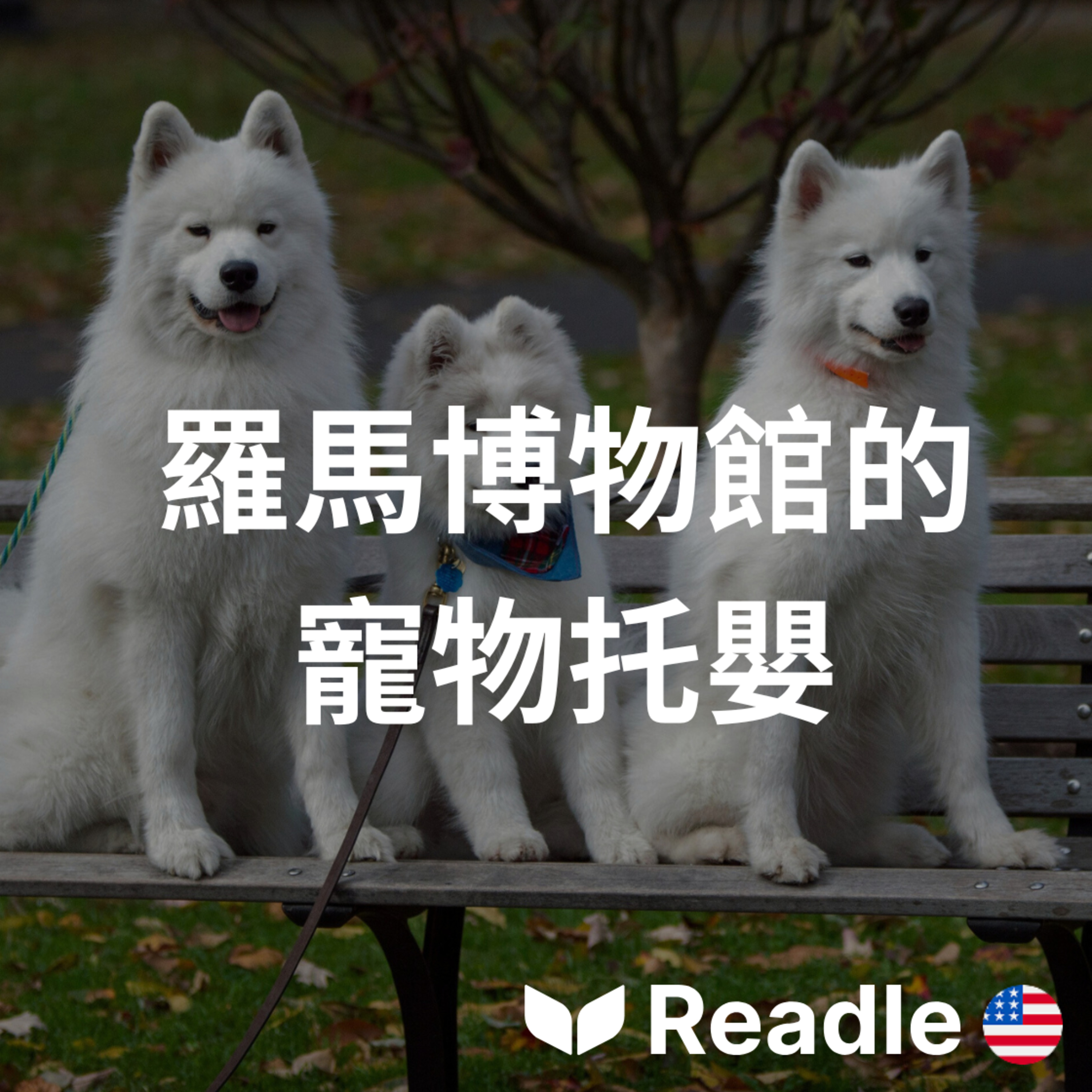Readle | 雙語短文學英文