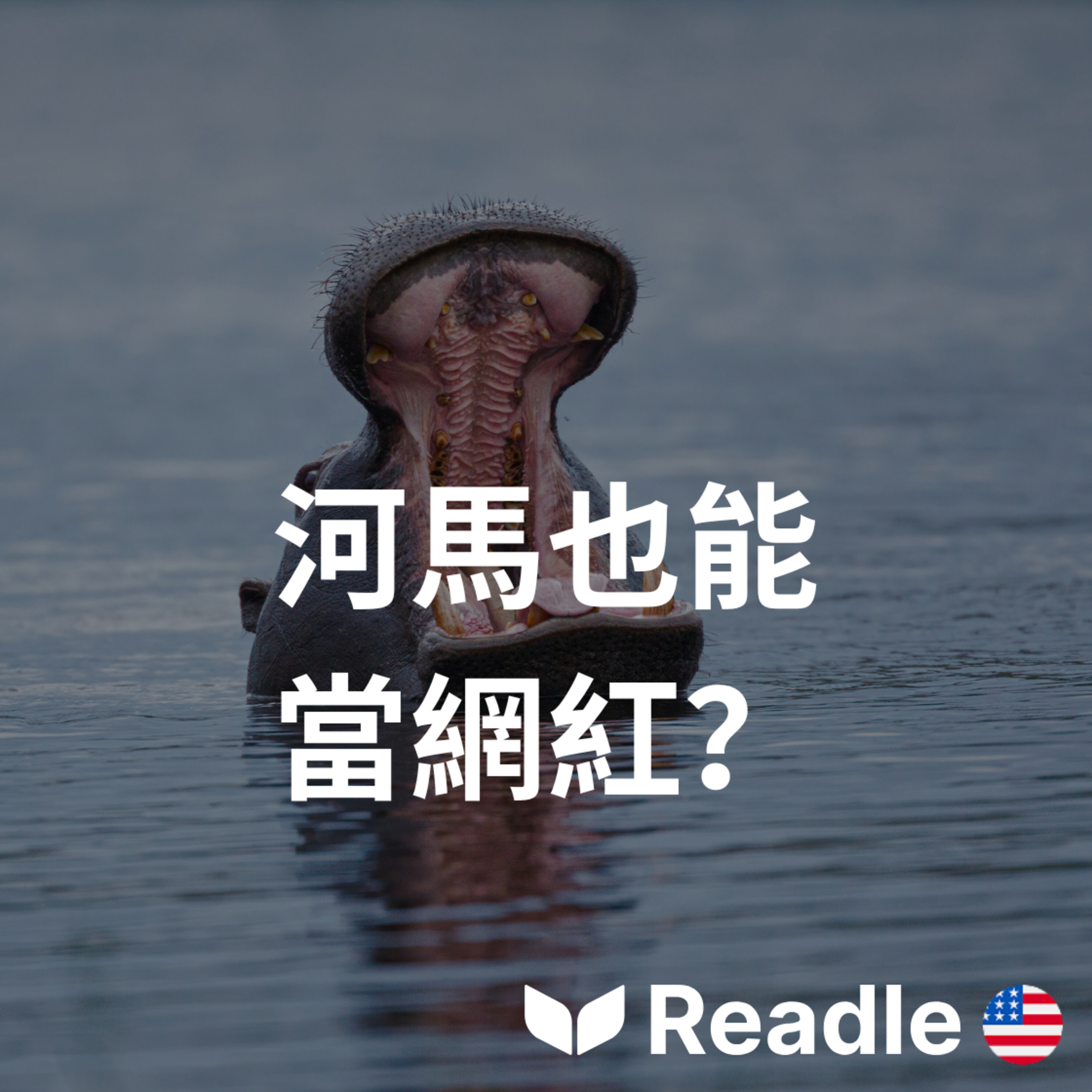 Readle | 雙語短文學英文