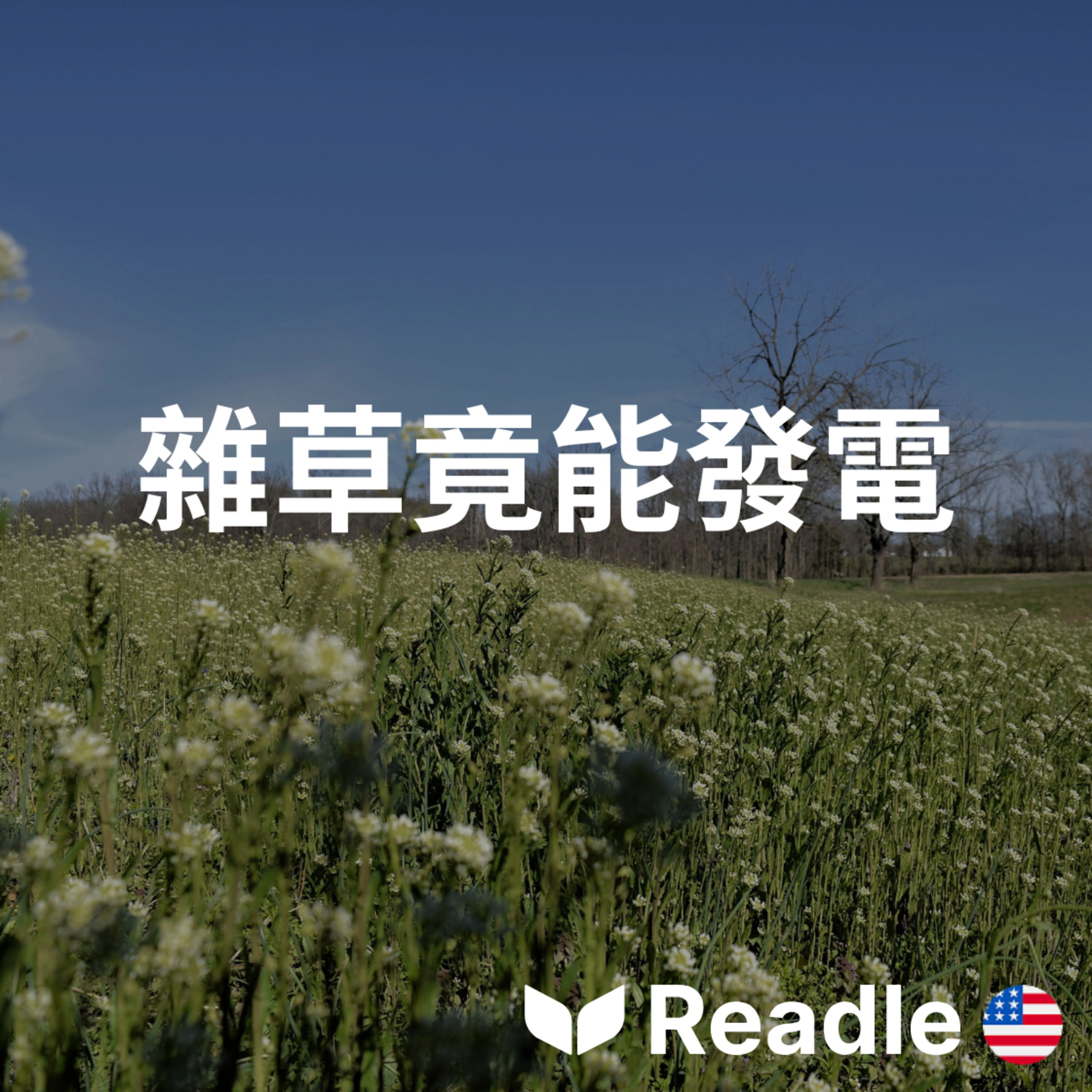 學英文 EP158｜中級｜澳洲常見野草作為新型生物燃料的測試｜Australian weeds tested for new type of biofuel episode artwork
