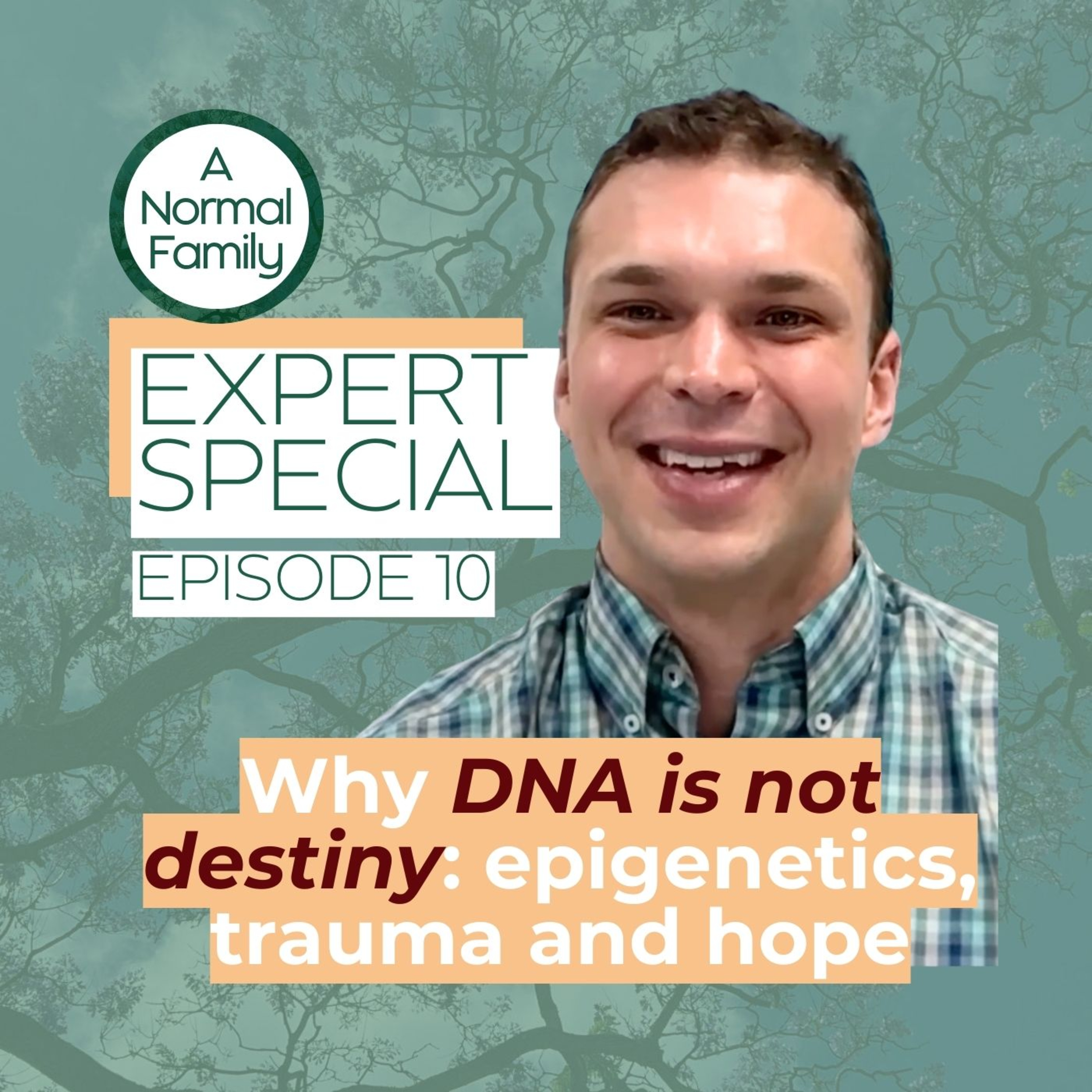 A Normal Family: modern family life, trauma & healing