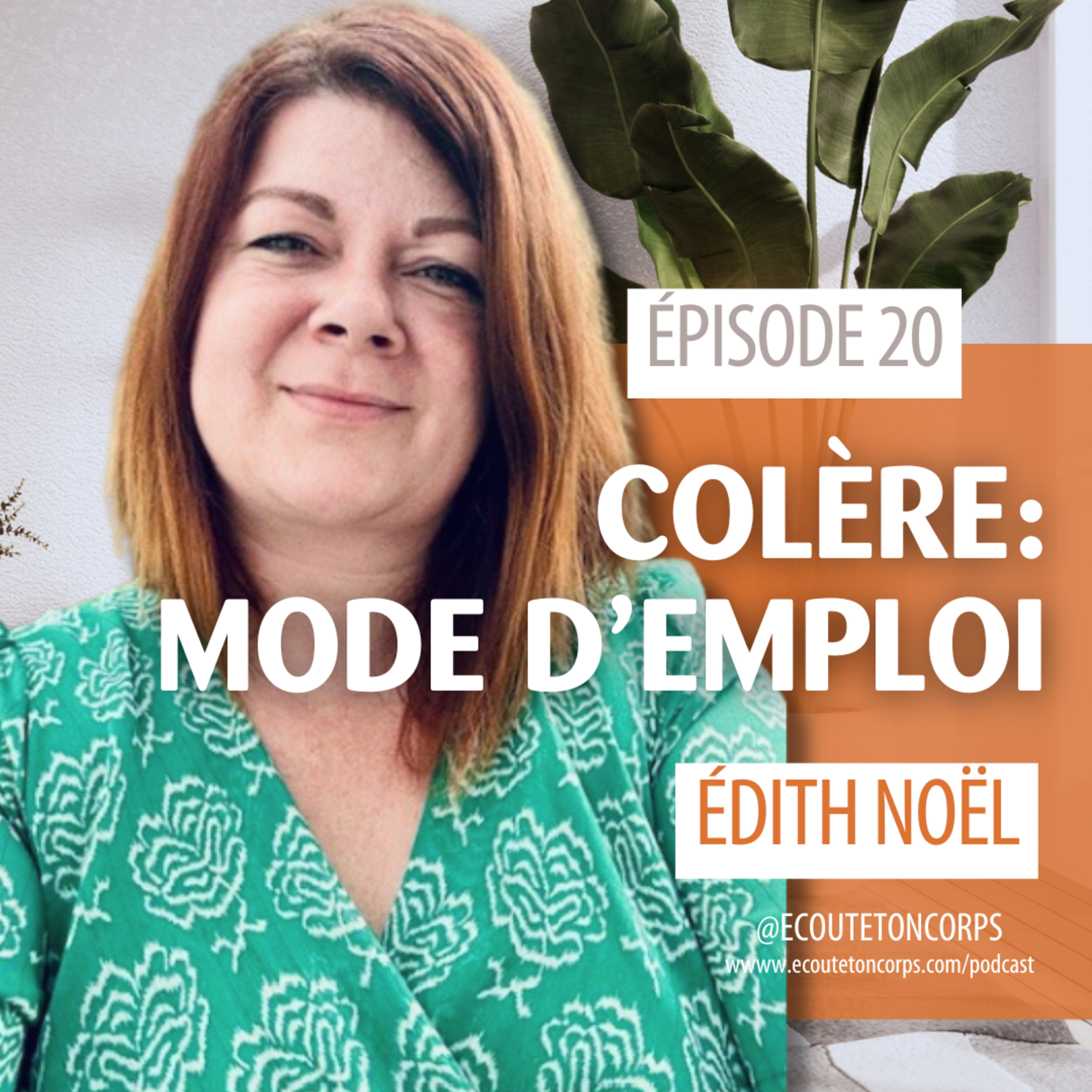 S1E20 - La colère: mode d'emploi avec Édith Noël