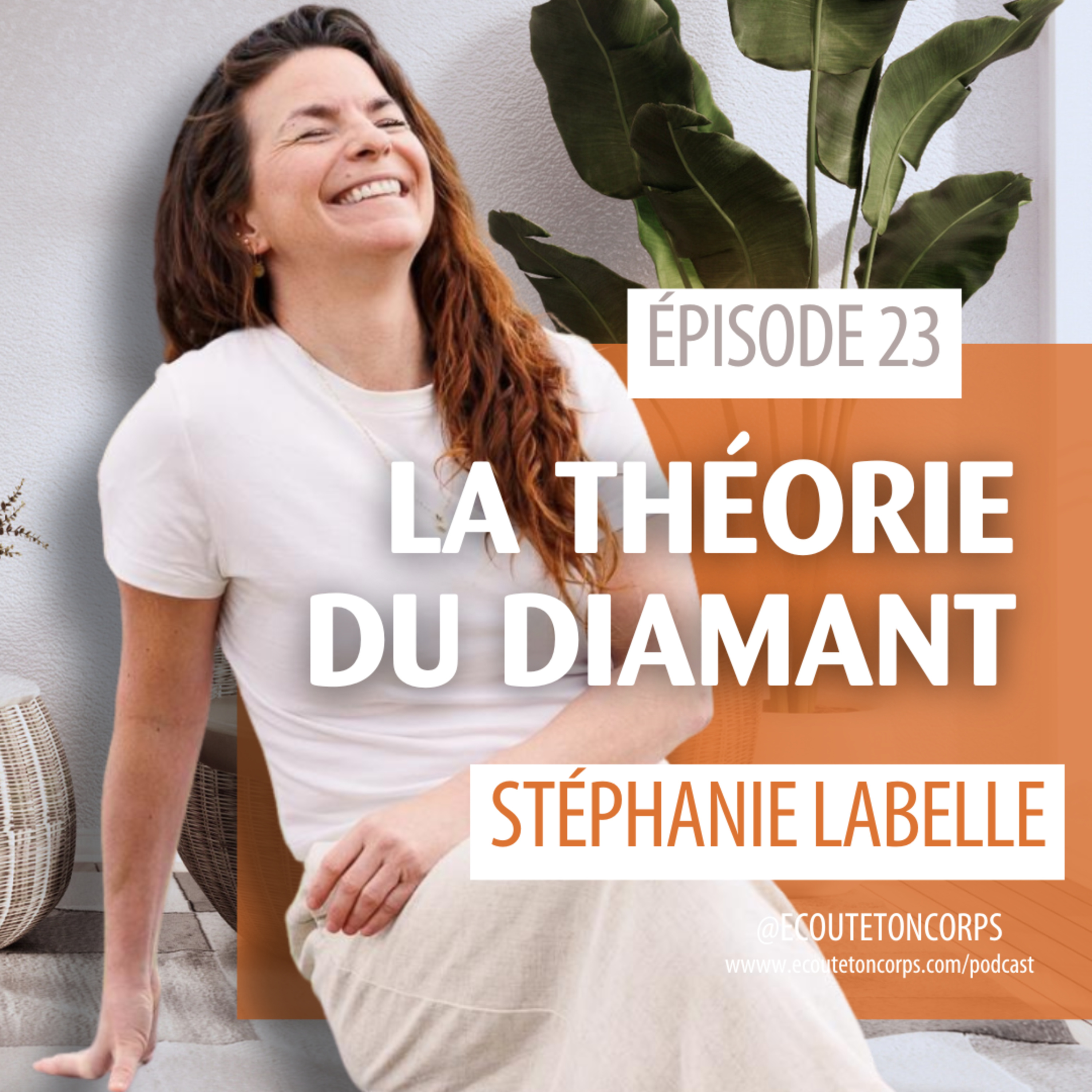 S1E23 - La théorie du diamant avec Stéphanie Labelle