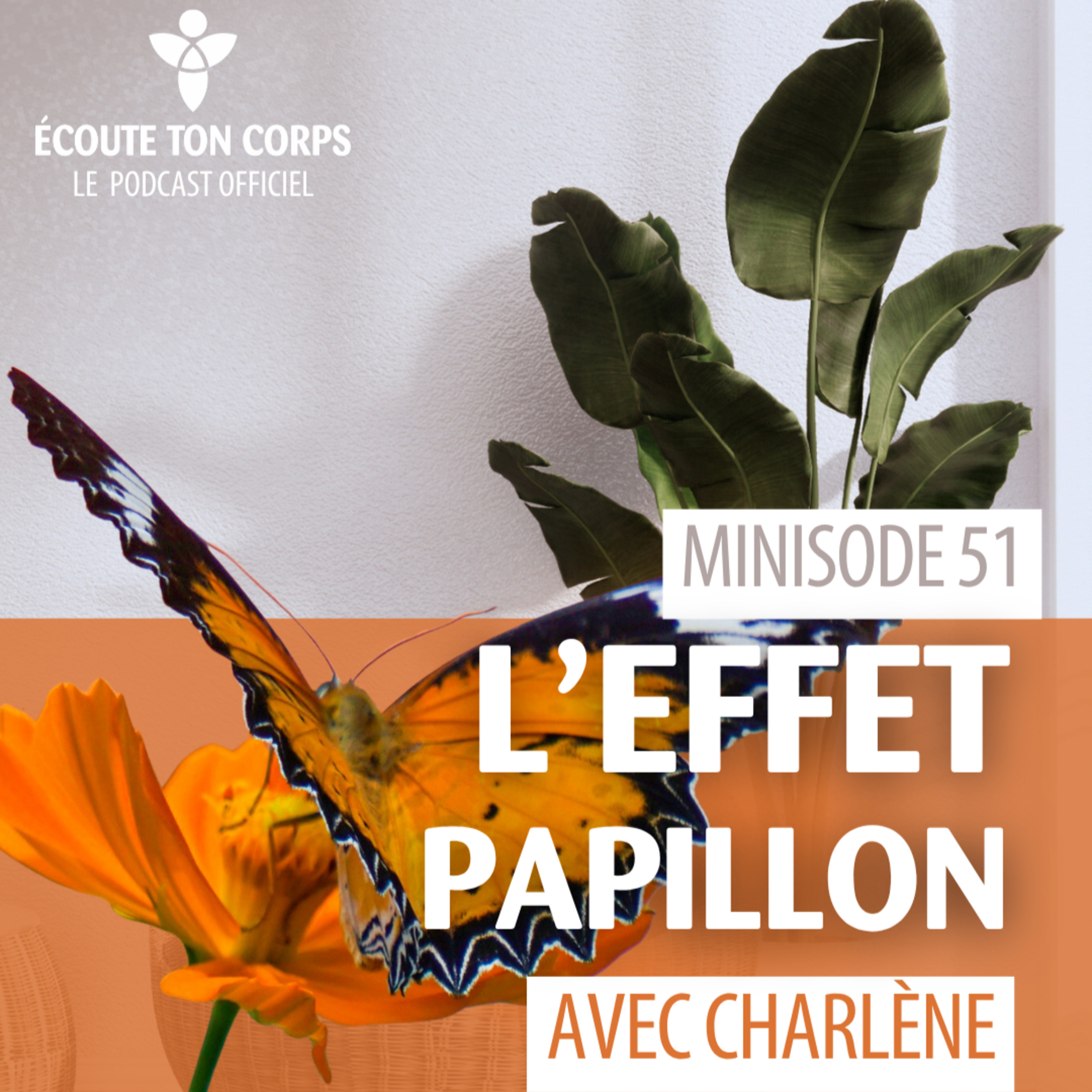 S2M51 – L'effet papillon (Minisode avec Charlène Lepage) 