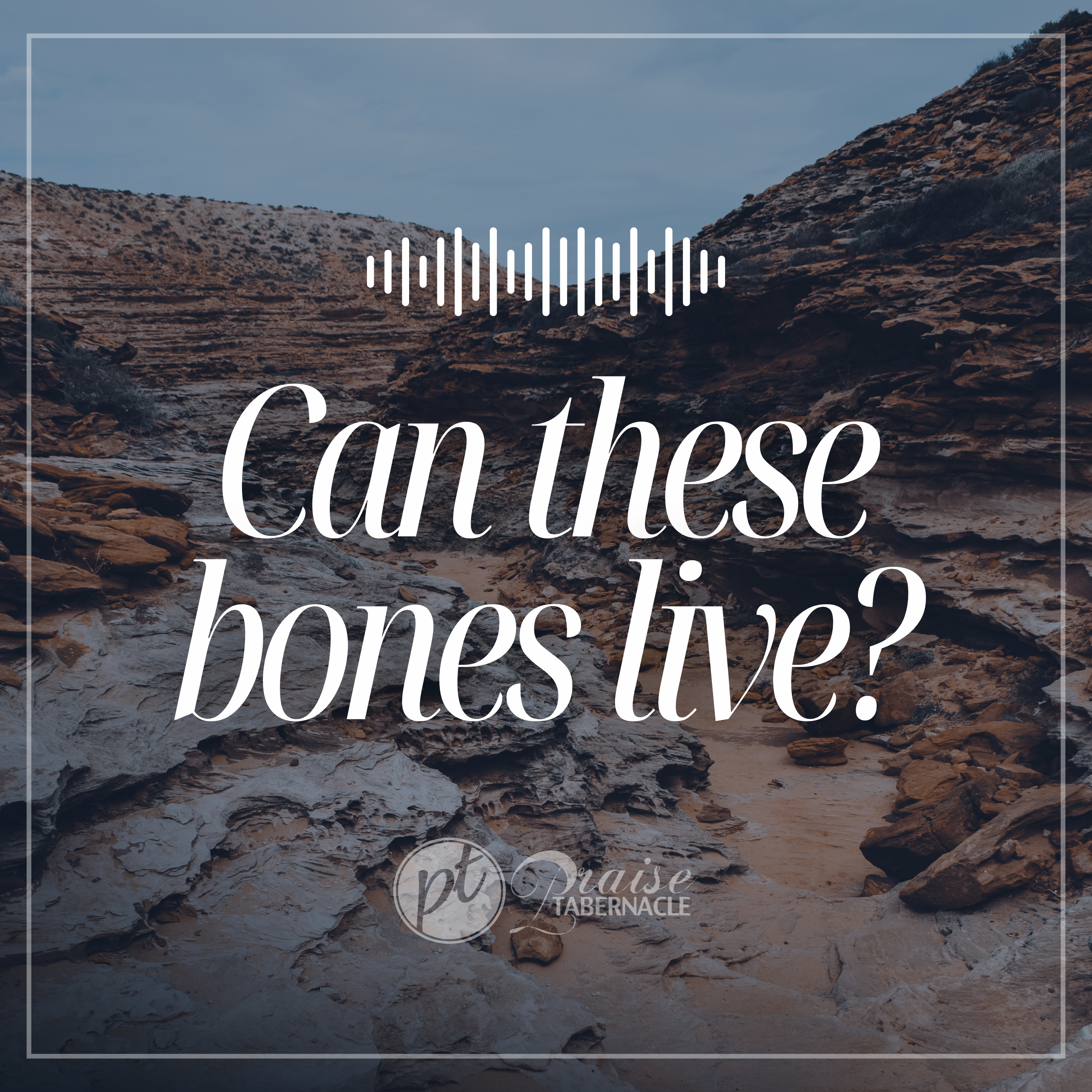 Can These Bones Live? episode artwork