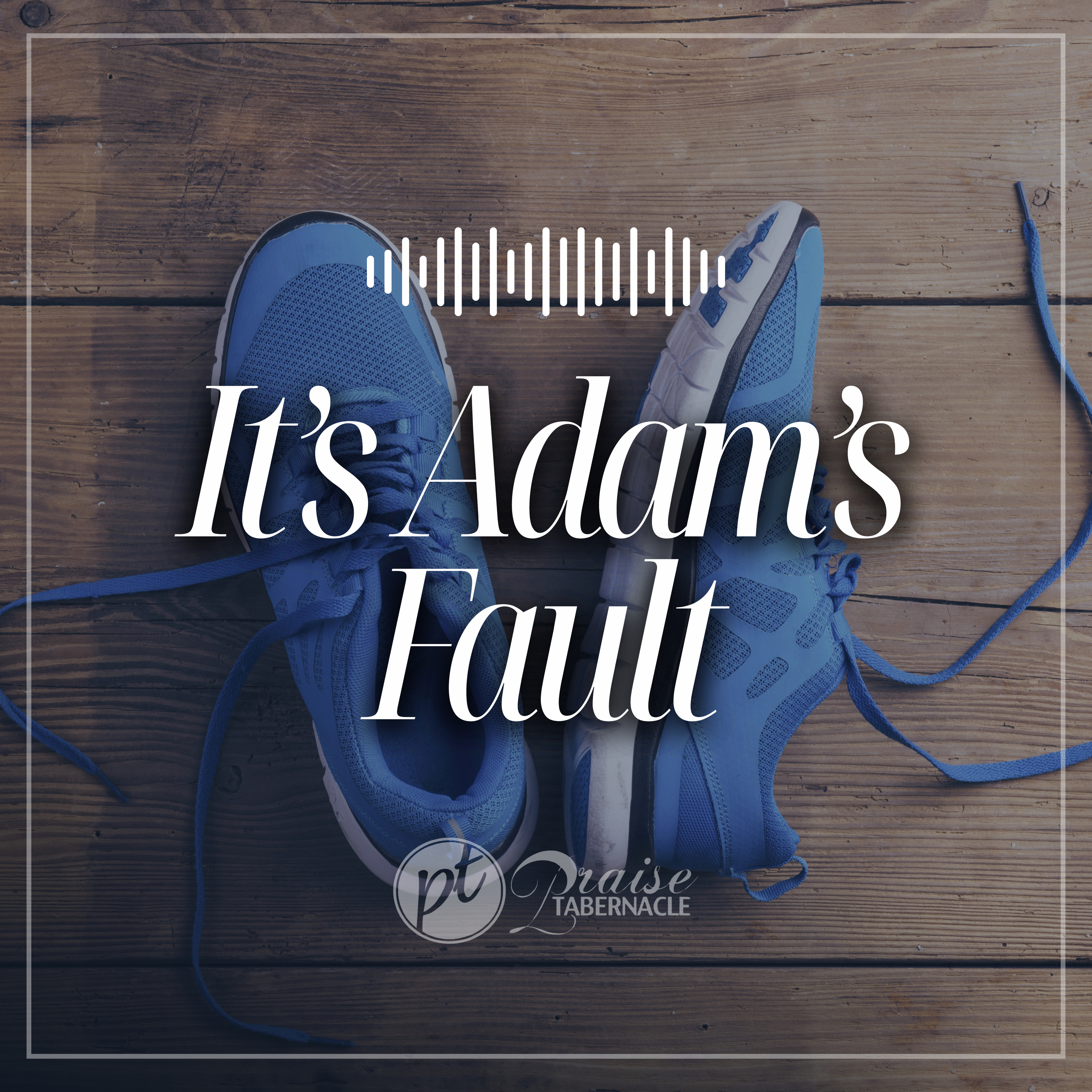 It's Adam's Fault episode artwork