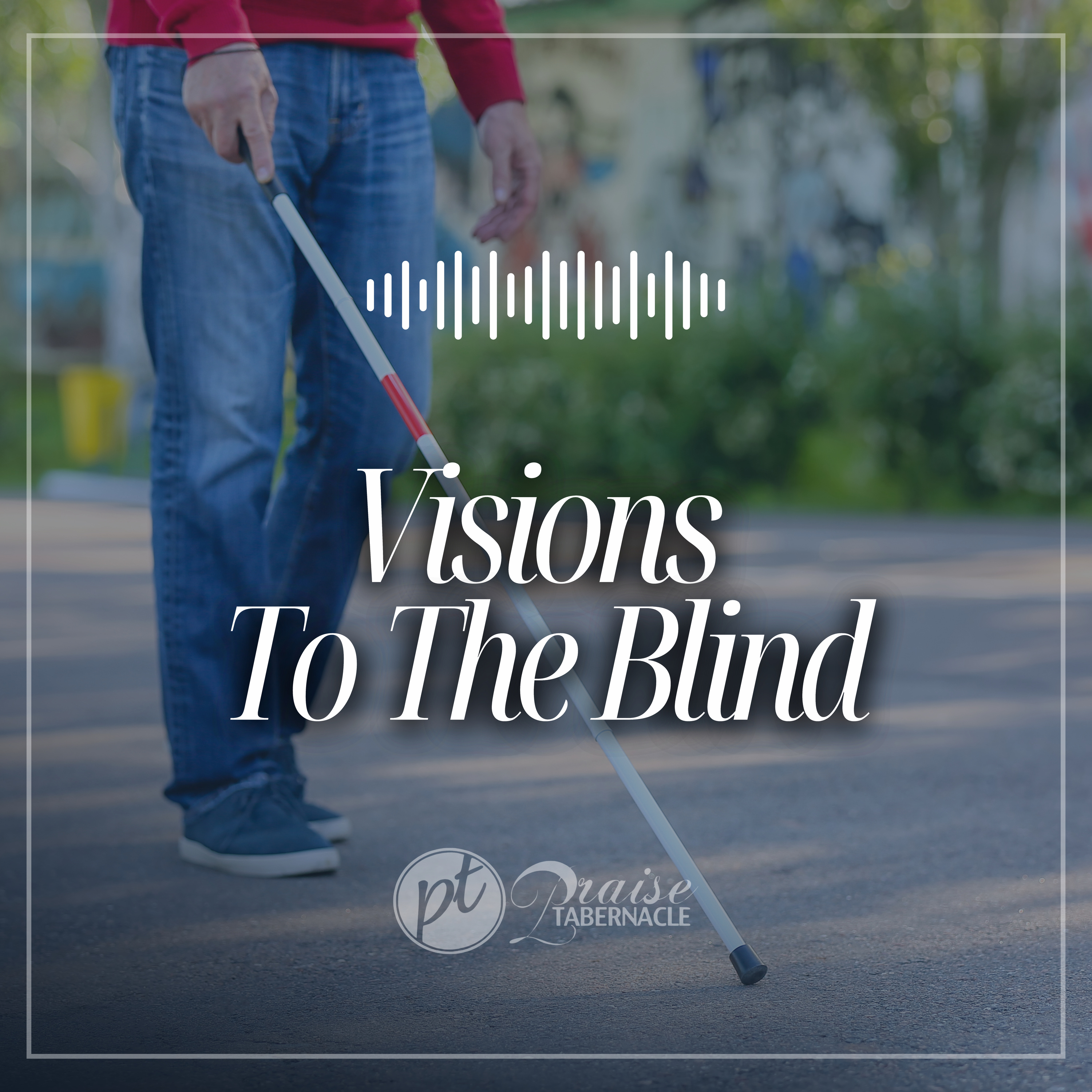 Visions To The Blind 🦯 episode artwork