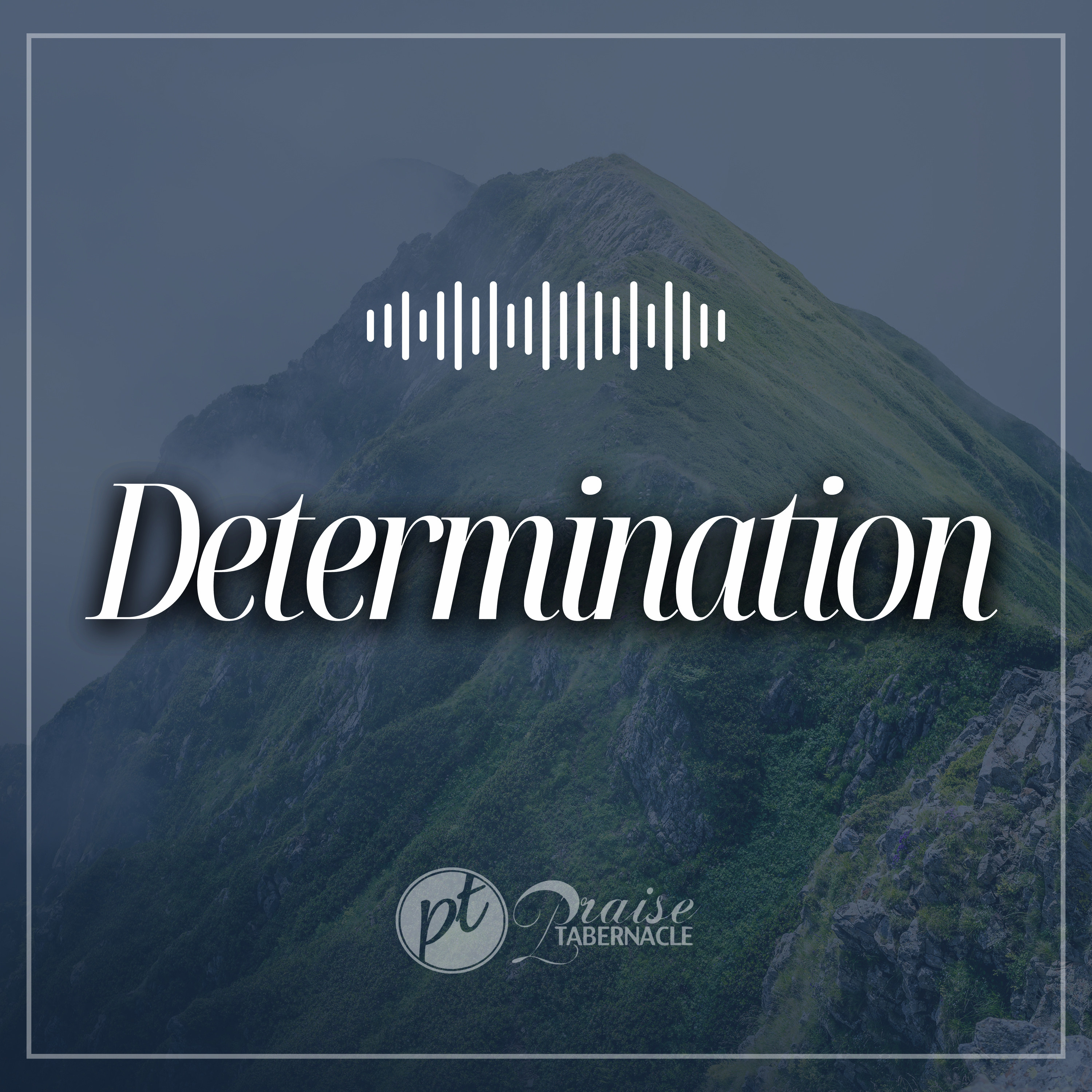 Determination episode artwork
