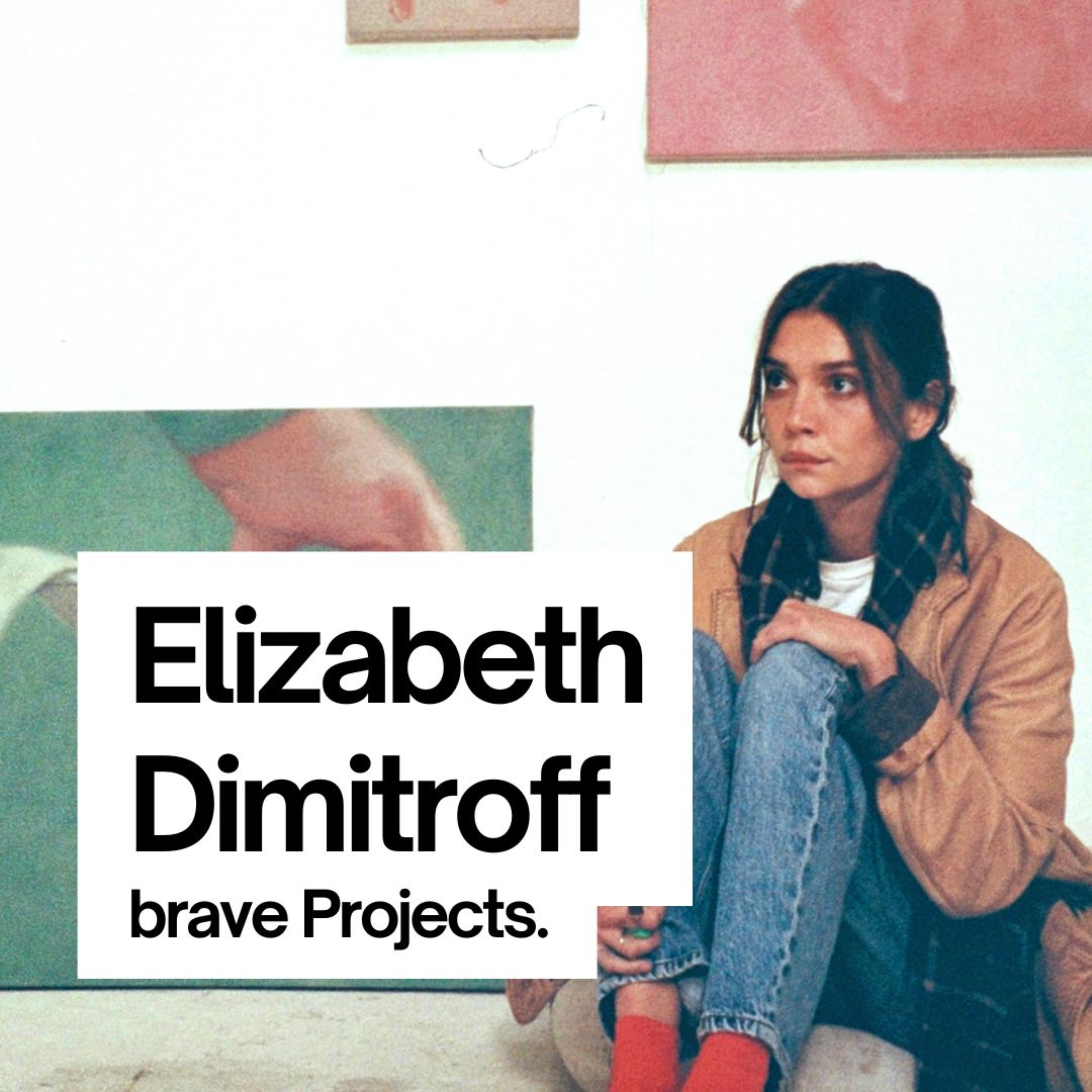 Elizabeth Dimitroff: A Boy Falling Out of the Sky episode artwork