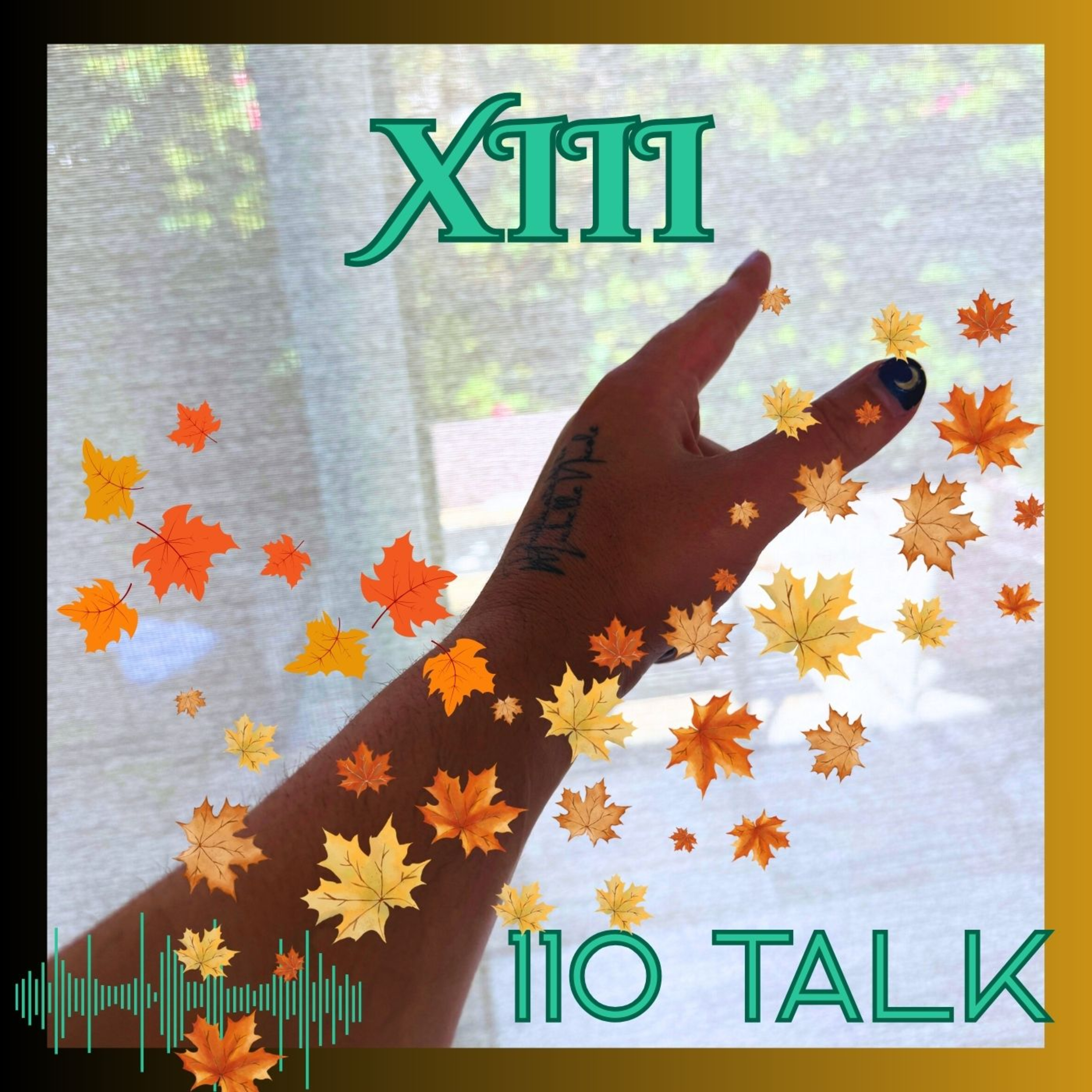 XIII - Why You Should Always Choose You episode artwork