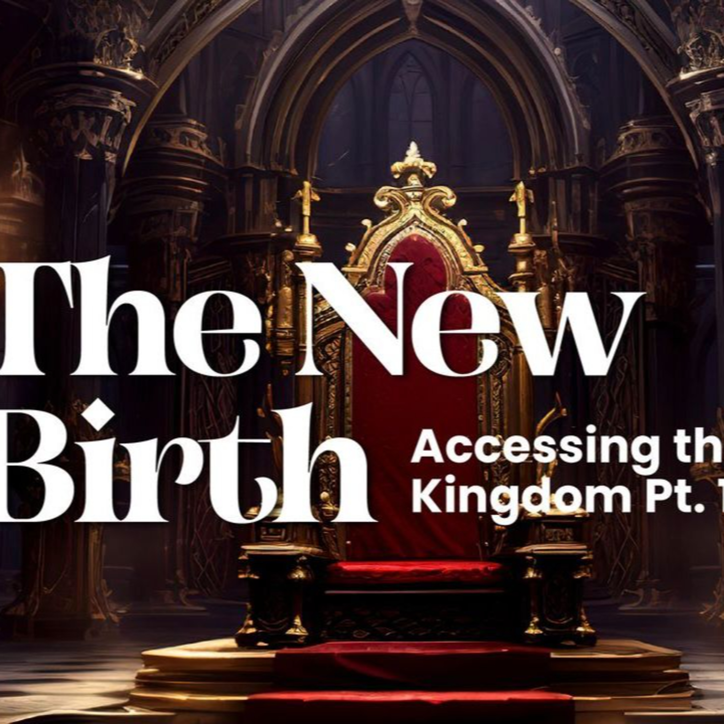 The New Birth - ACCESSING THE KINGDOM episode artwork
