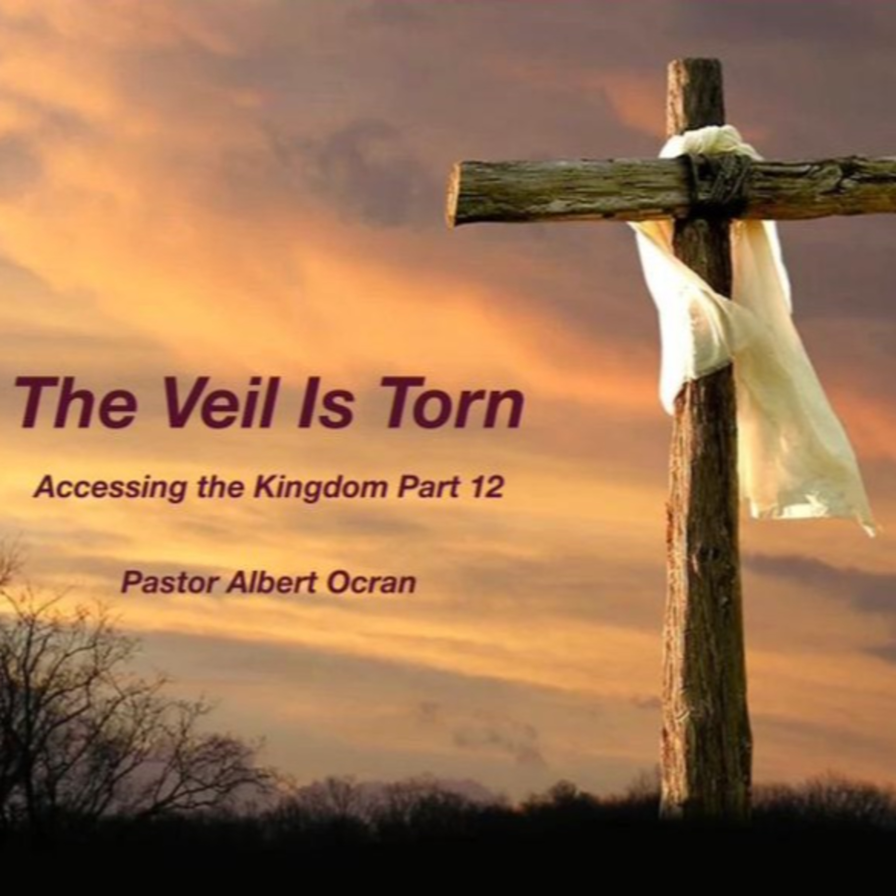 The Veil is Torn - Accessing the Kingdom | Part 12 episode artwork