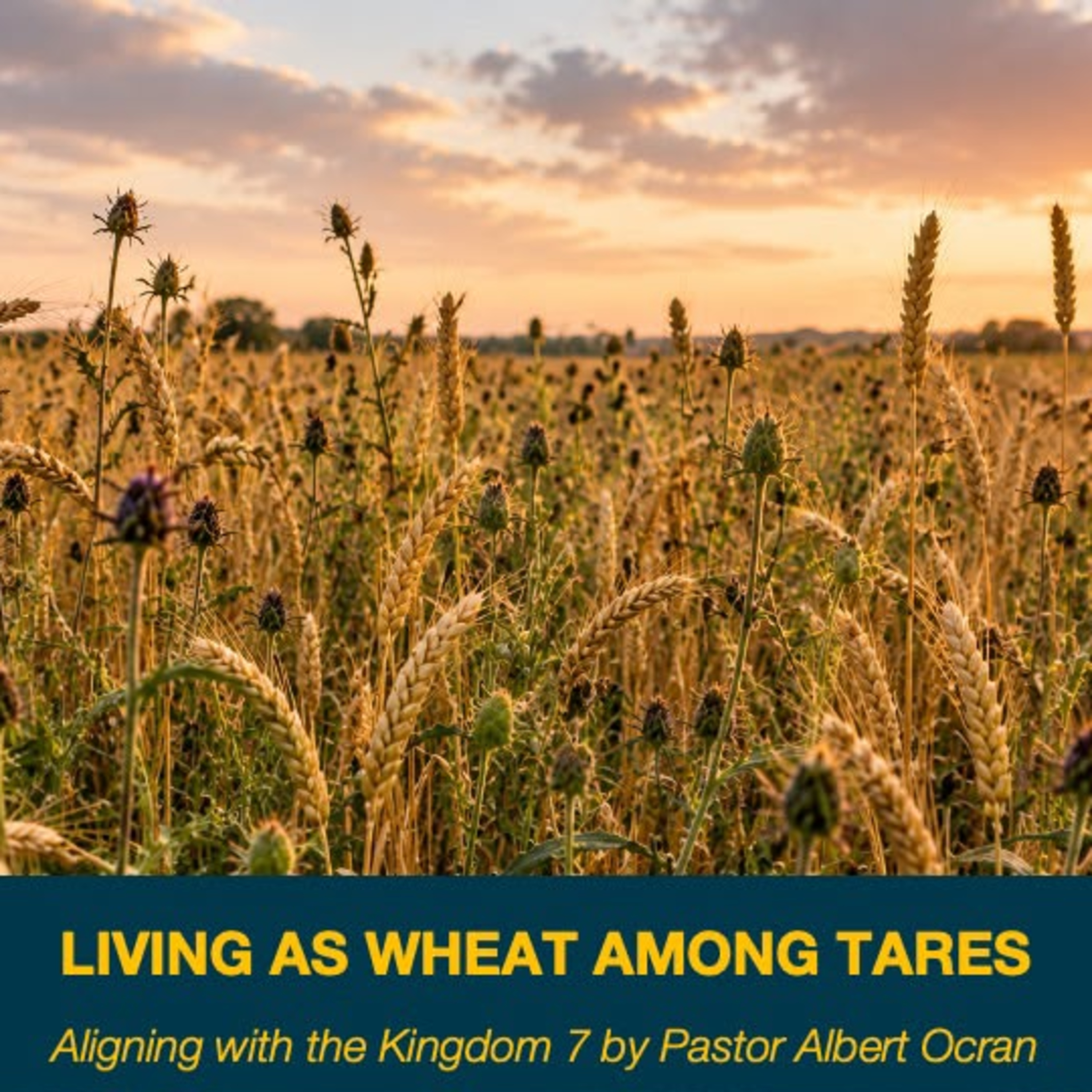 Living as WHEAT Among Tares - Aligning with the Kingdom Part 7