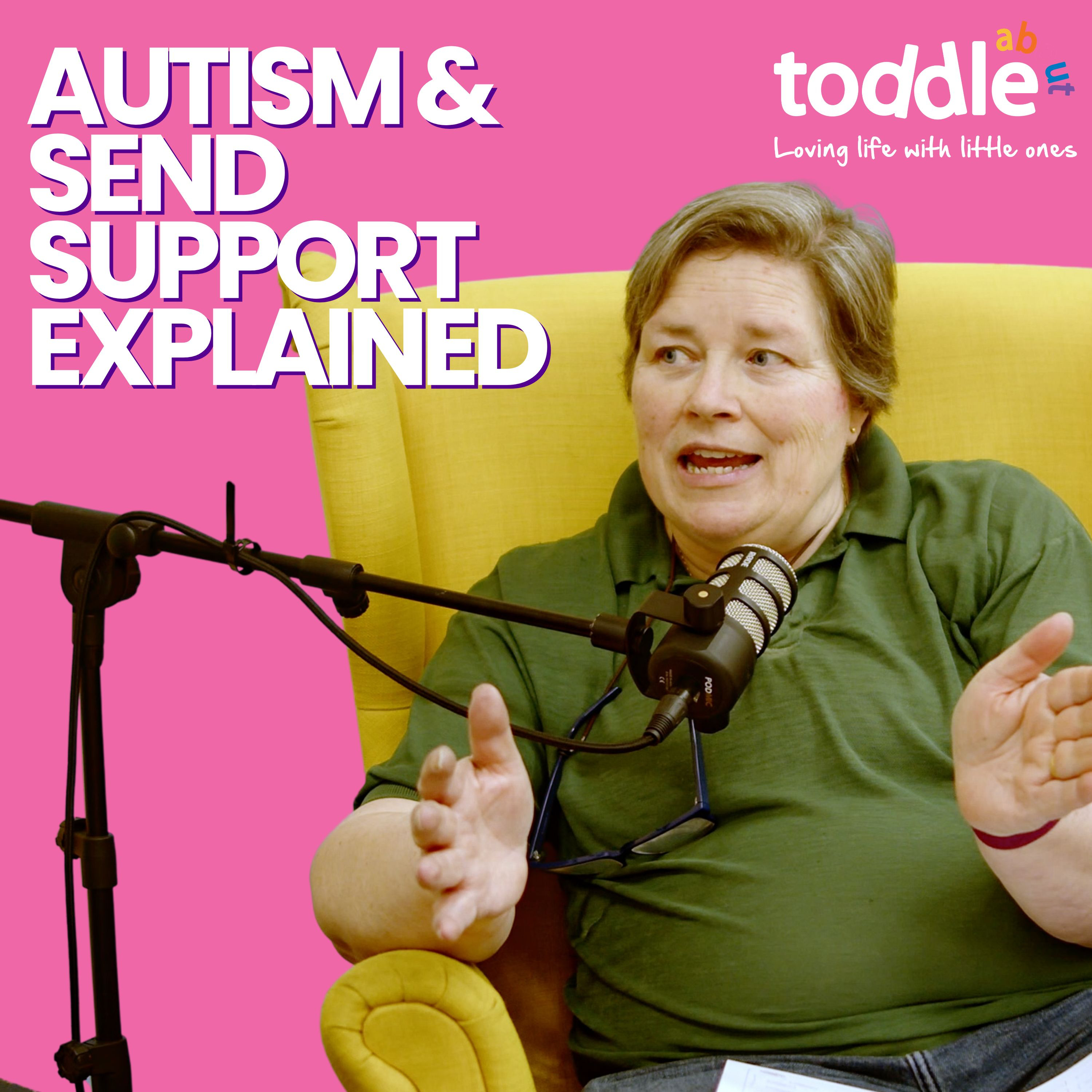 Navigating Autism, SEND Support & EHCPs | Liz McCarthy from SENDHUGS | Tod Talks episode artwork