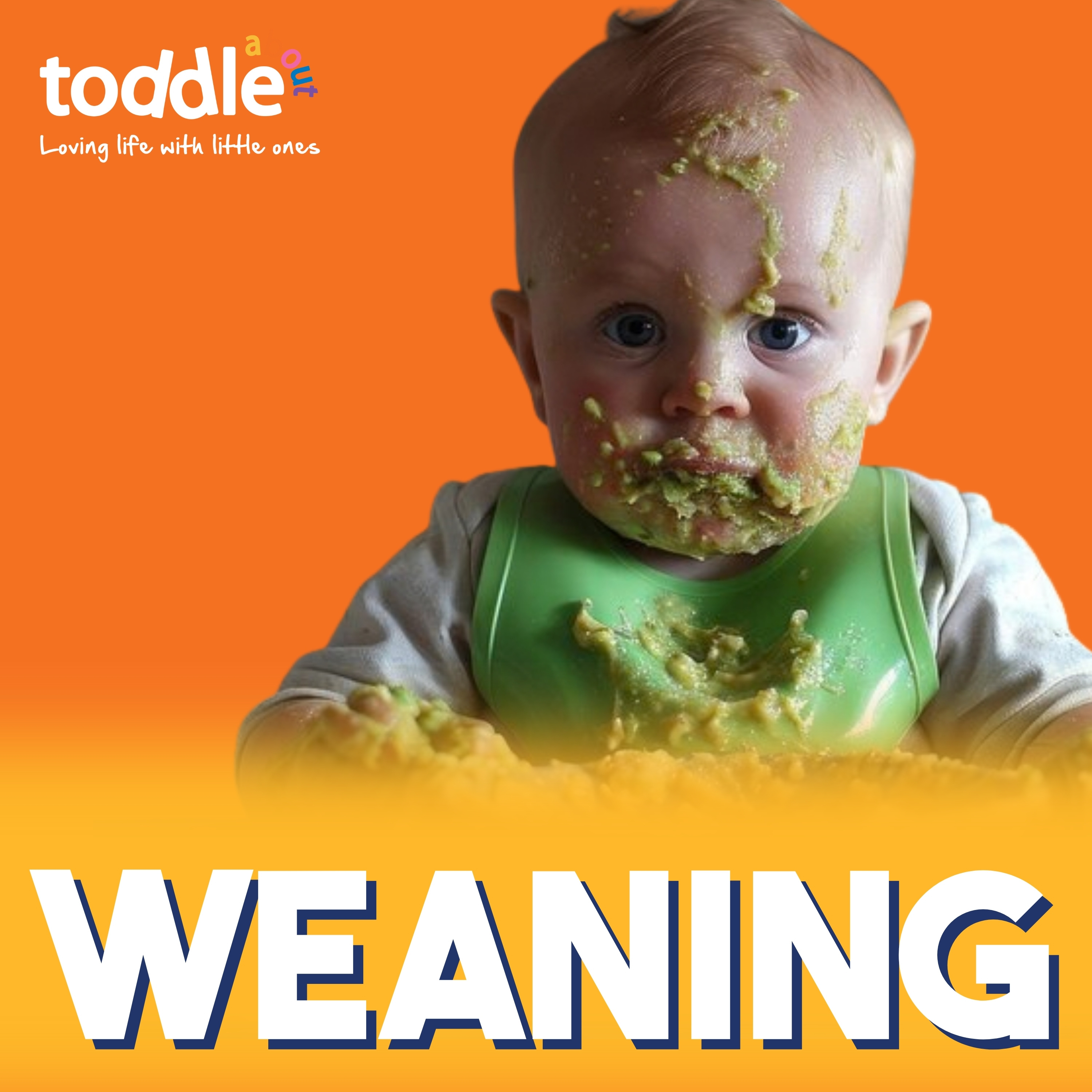 Baby-Led Weaning, Fussy Eating and Making Mealtimes Fun
