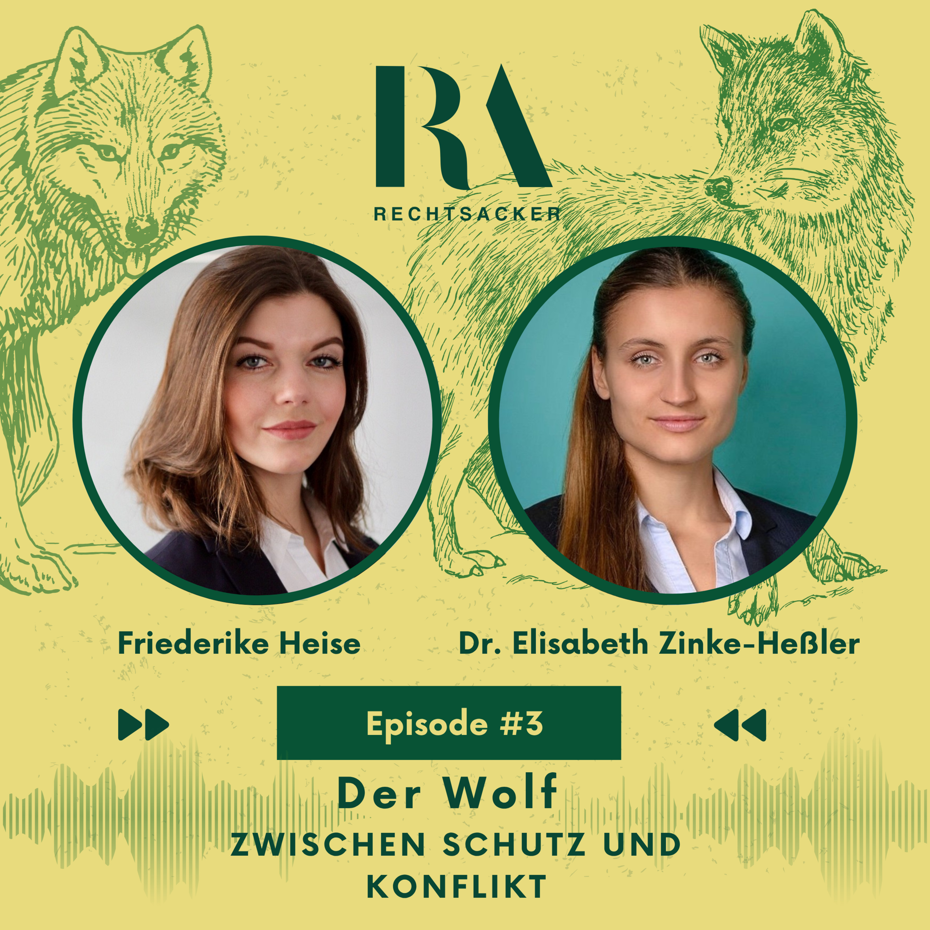 Episode 3: Der Wolf – Zwischen Schutz und Konflikt episode artwork