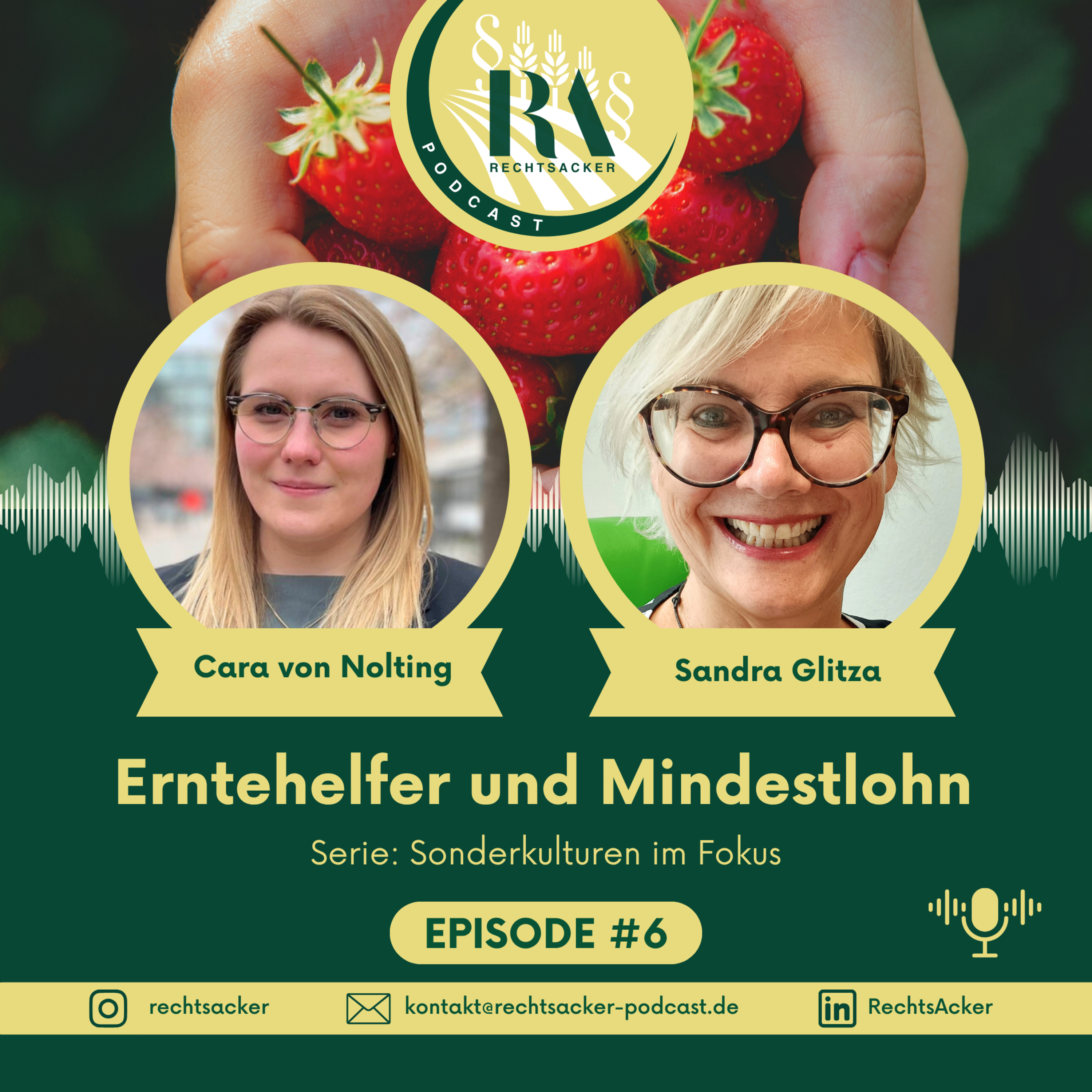 Episode 6: Wer erntet unsere Erdbeeren? – Saisonarbeit, Mindestlohn und Realität auf dem Feld episode artwork