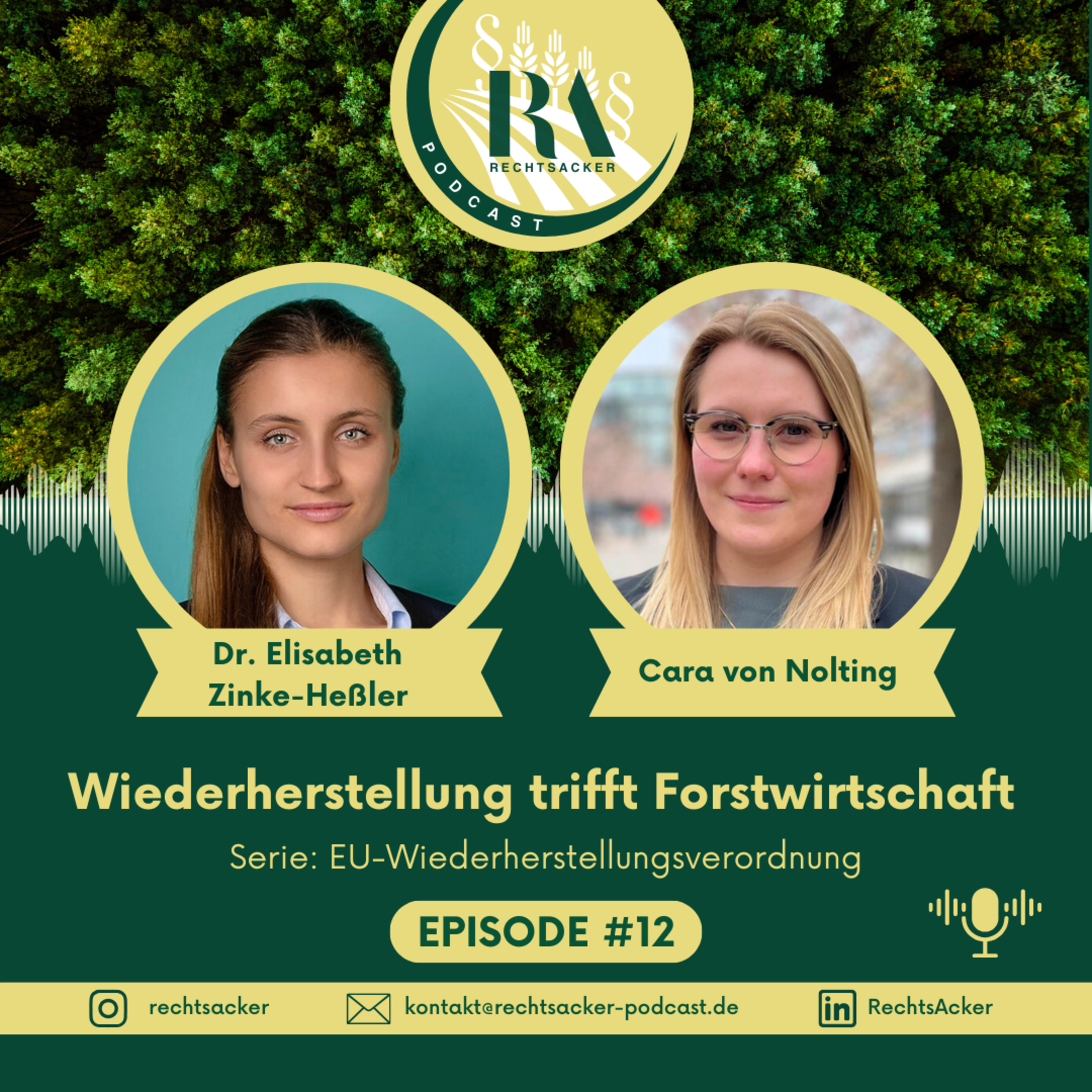 Episode 12: Wälder unter Druck? Was die neue EU-Wiederherstellungsverordnung für den Wald bedeutet episode artwork