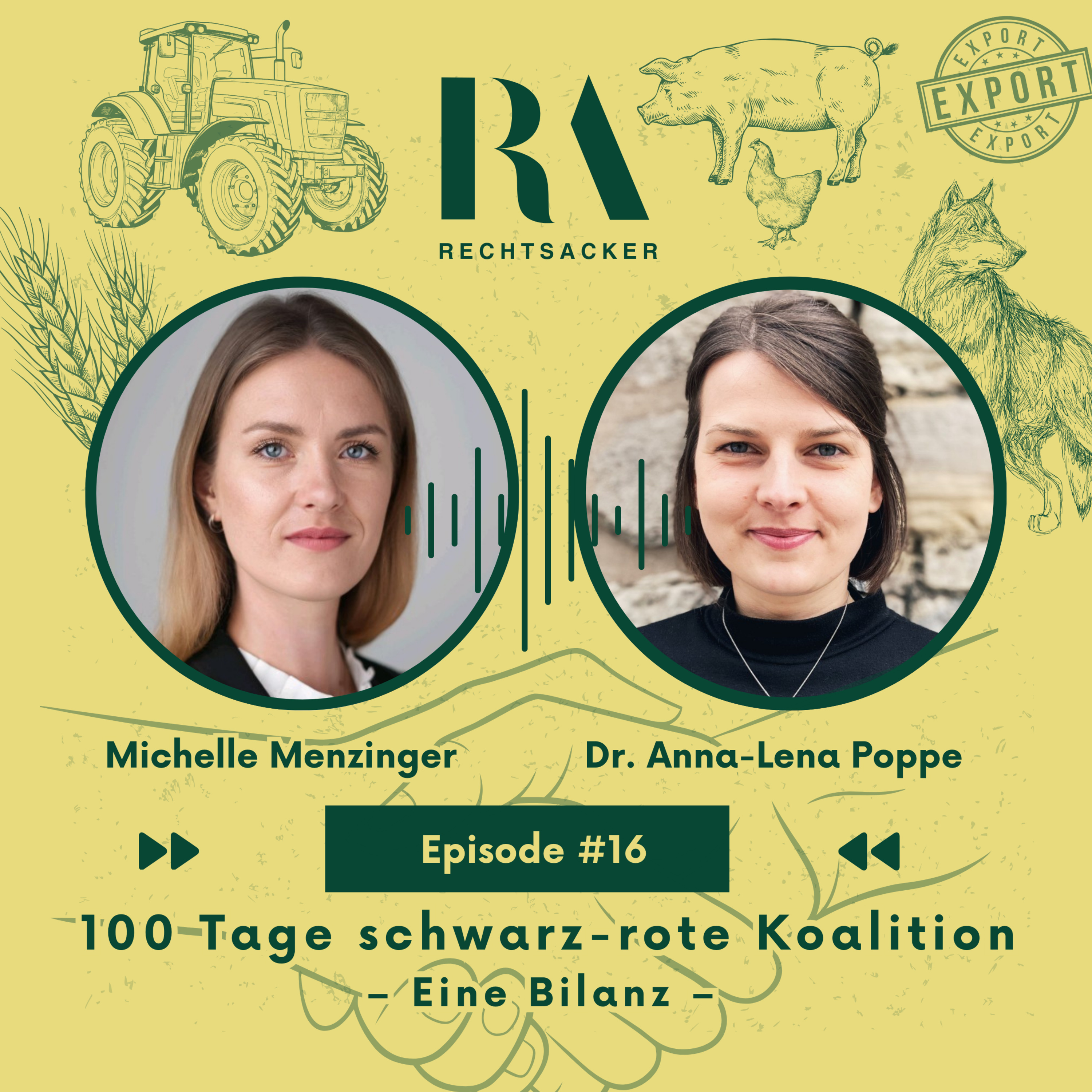 Episode 16: 100 Tage schwarz-rote Koalition – Eine erste Bilanz episode artwork