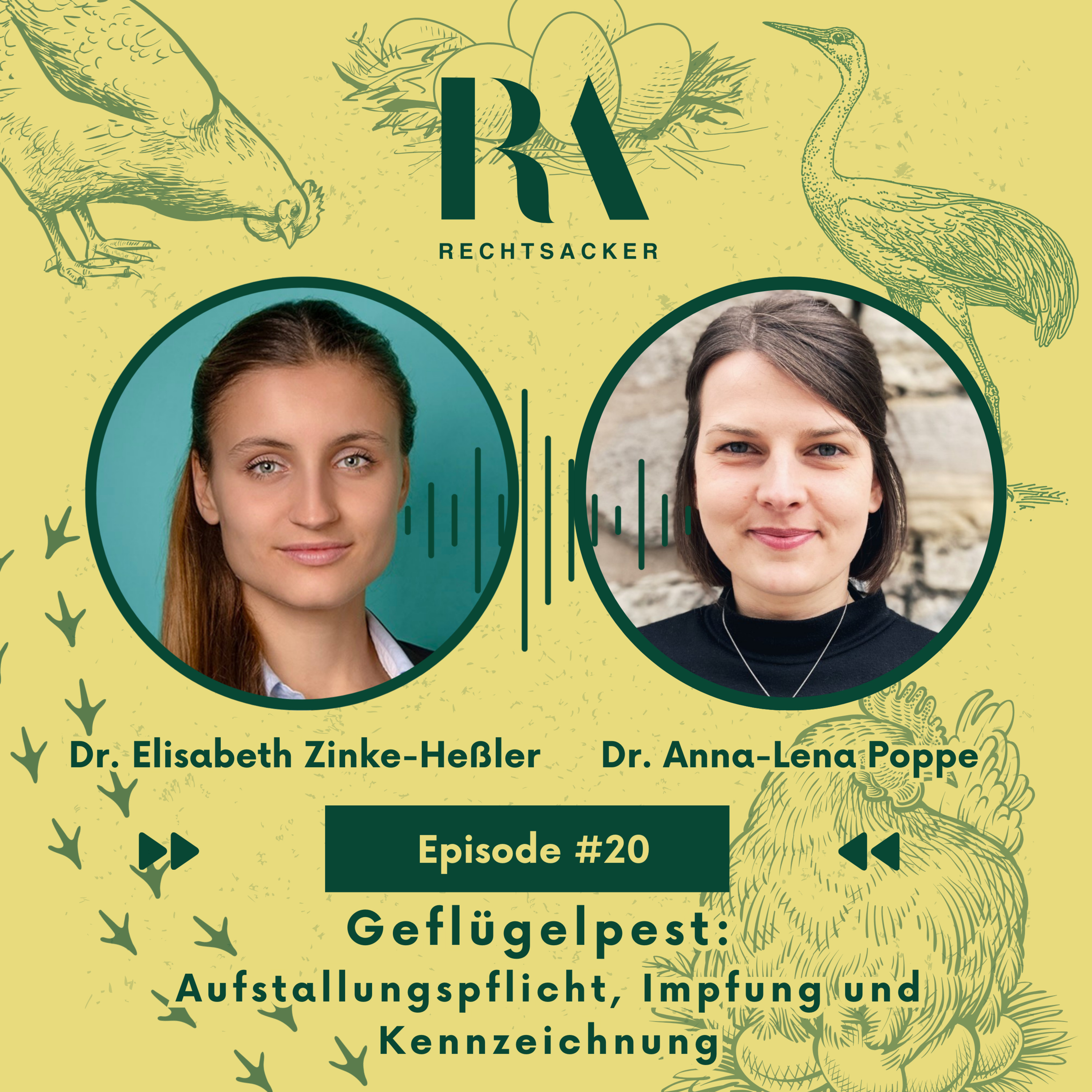 Episode 20: Geflügelpest – Aufstallungspflicht, Impfung und Kennzeichnung episode artwork