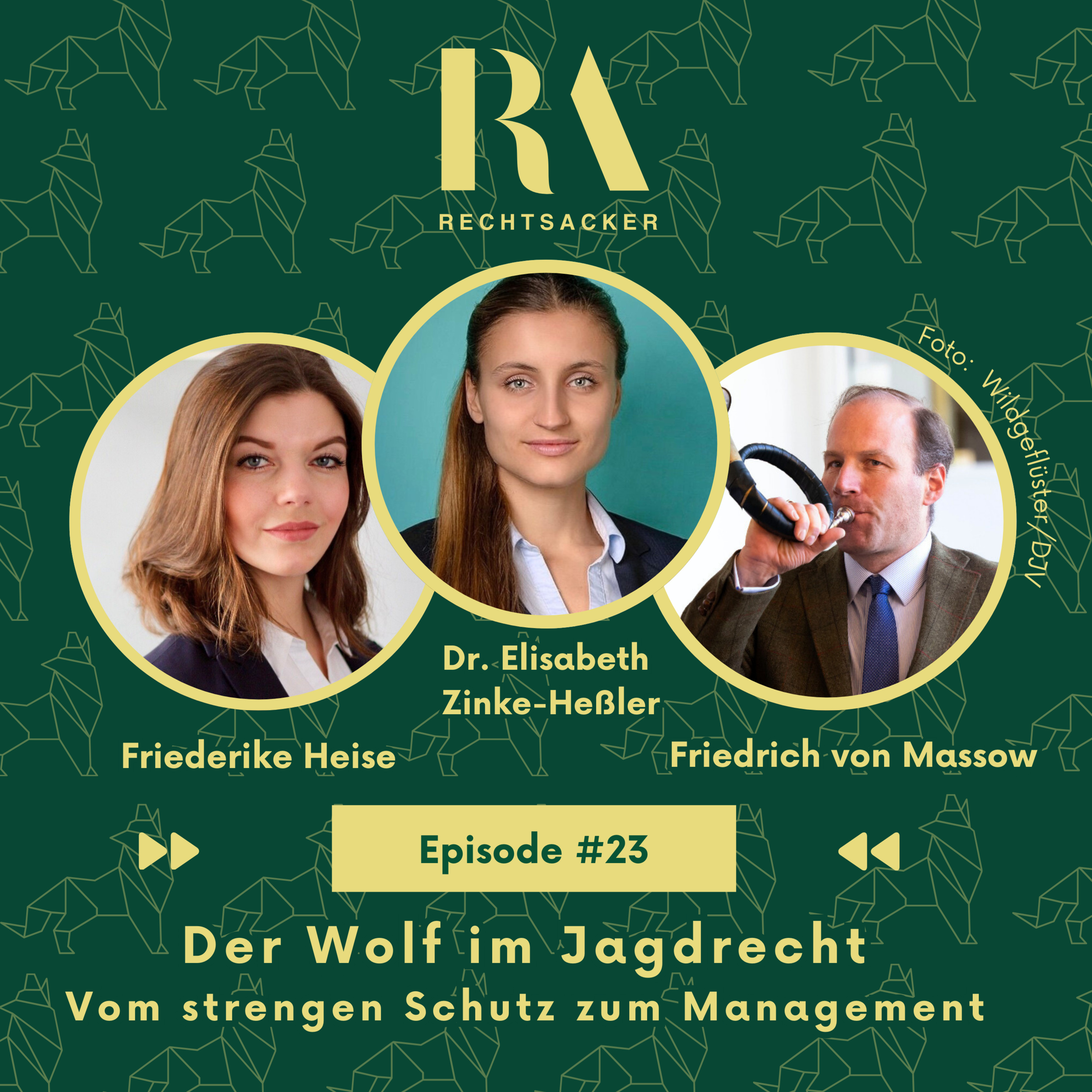 Episode 23: Der Wolf im Jagdrecht – Vom strengen Schutz zum Management episode artwork